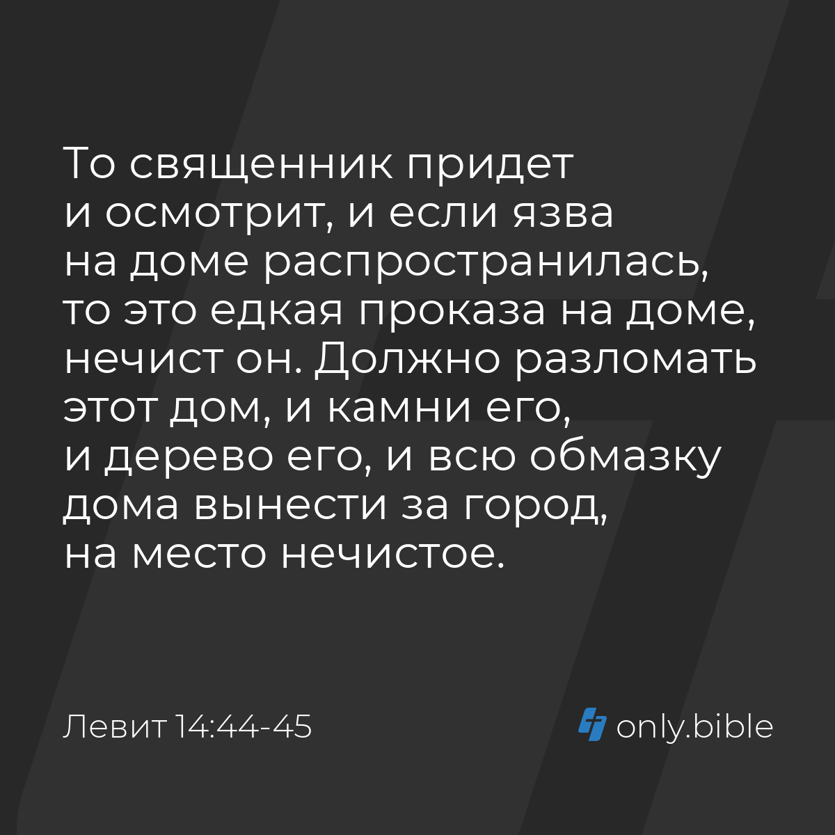 Левит 14:44-45 / Русский синодальный перевод (Юбилейное издание) | Библия  Онлайн