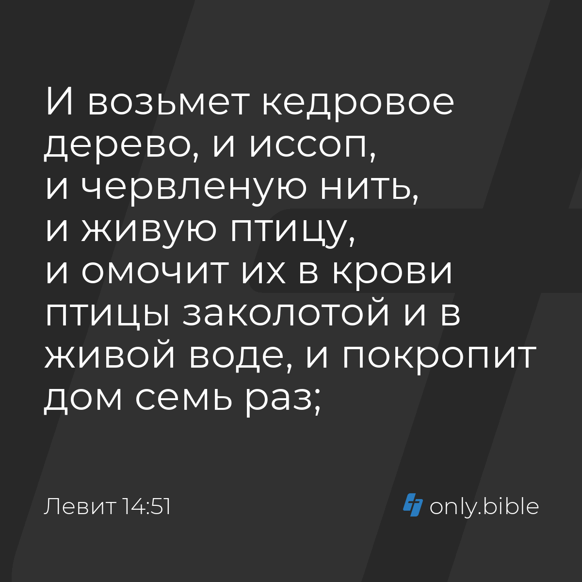 Левит 14:51 / Русский синодальный перевод (Юбилейное издание) | Библия  Онлайн