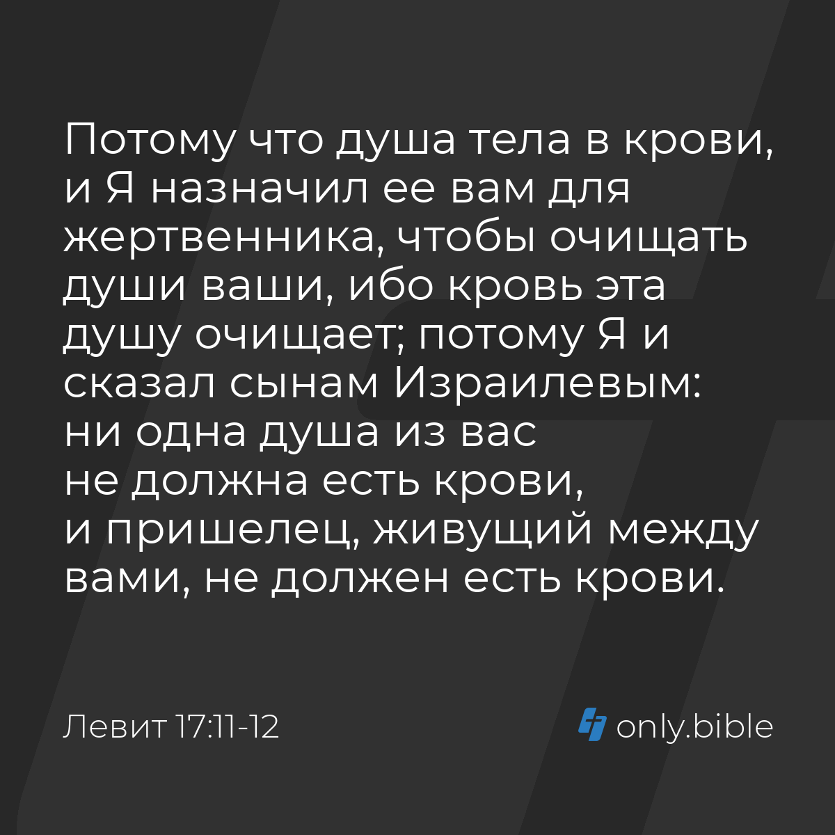 Левит 17:11-12 / Русский синодальный перевод (Юбилейное издание) | Библия  Онлайн