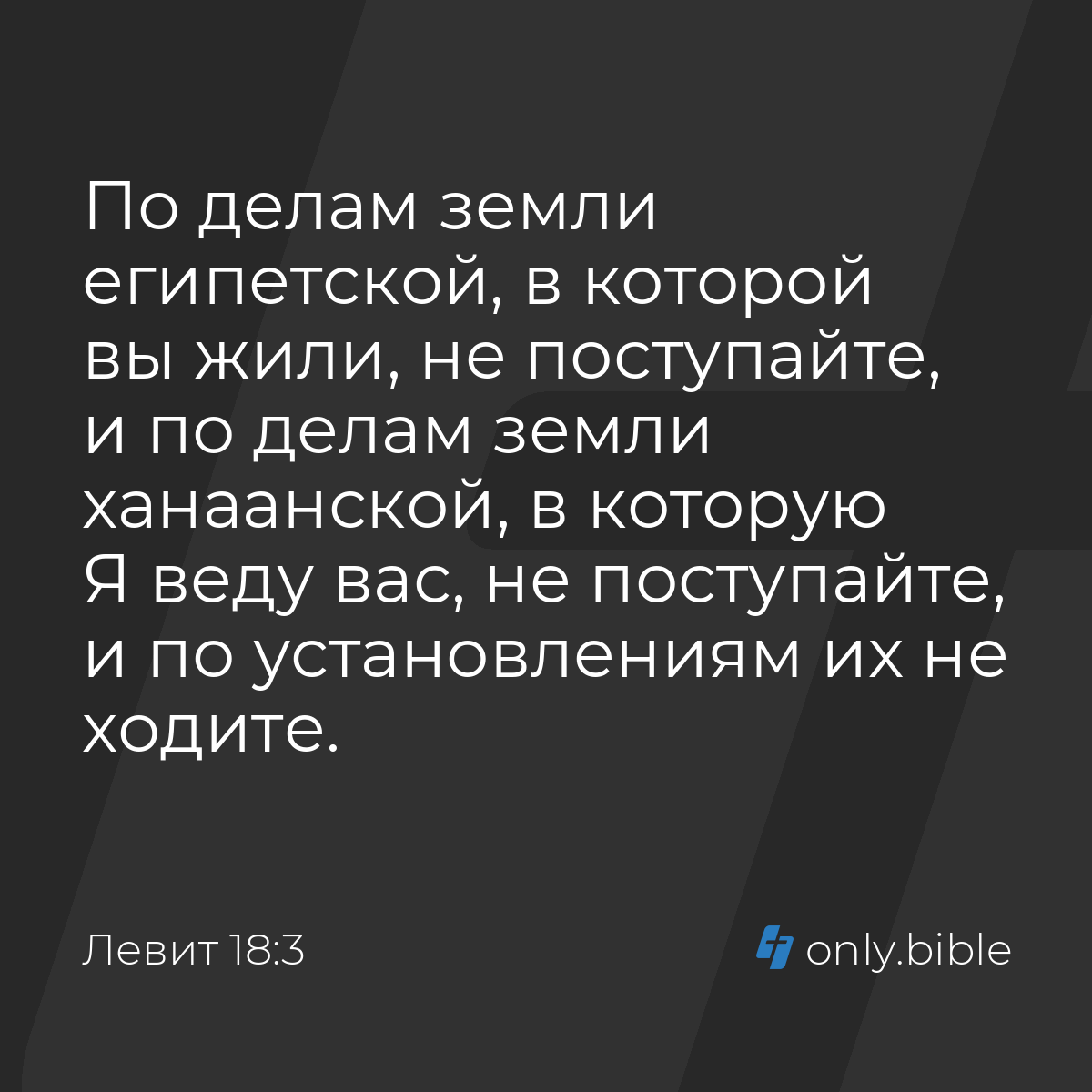 Әйелдер бейнелердегі заттармен өздерін қатты ұрады