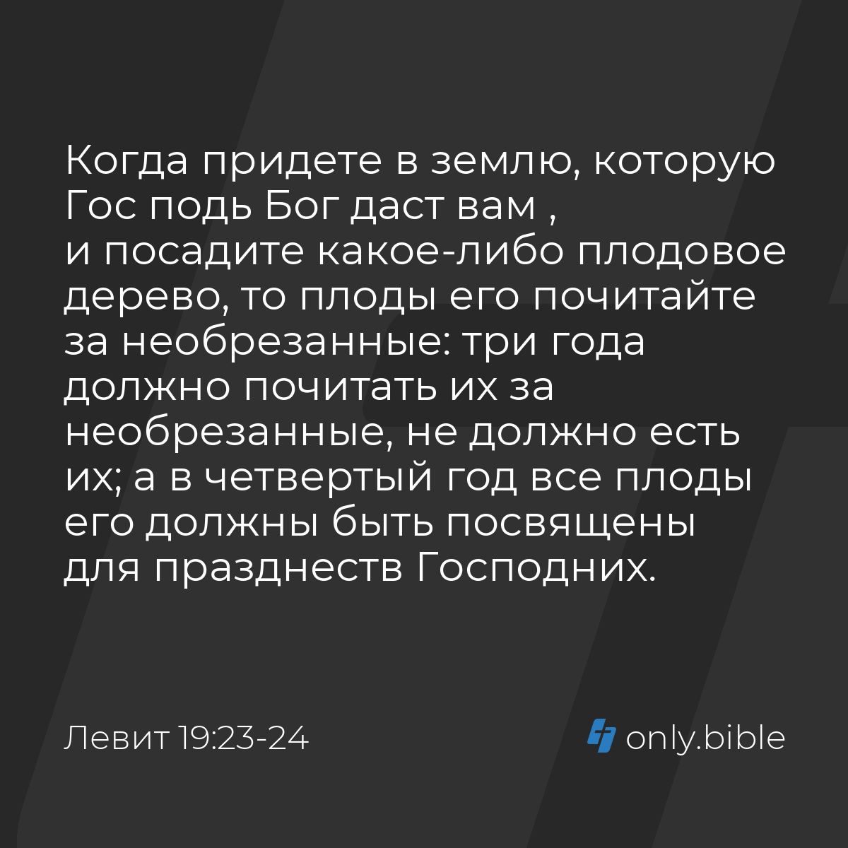 Левит 19:23-24 / Русский синодальный перевод (Юбилейное издание) | Библия  Онлайн