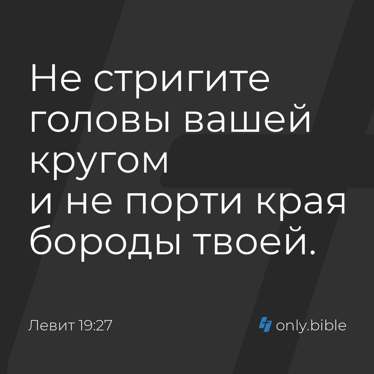 Левит 19:27 / Русский синодальный перевод (Юбилейное издание) | Библия  Онлайн