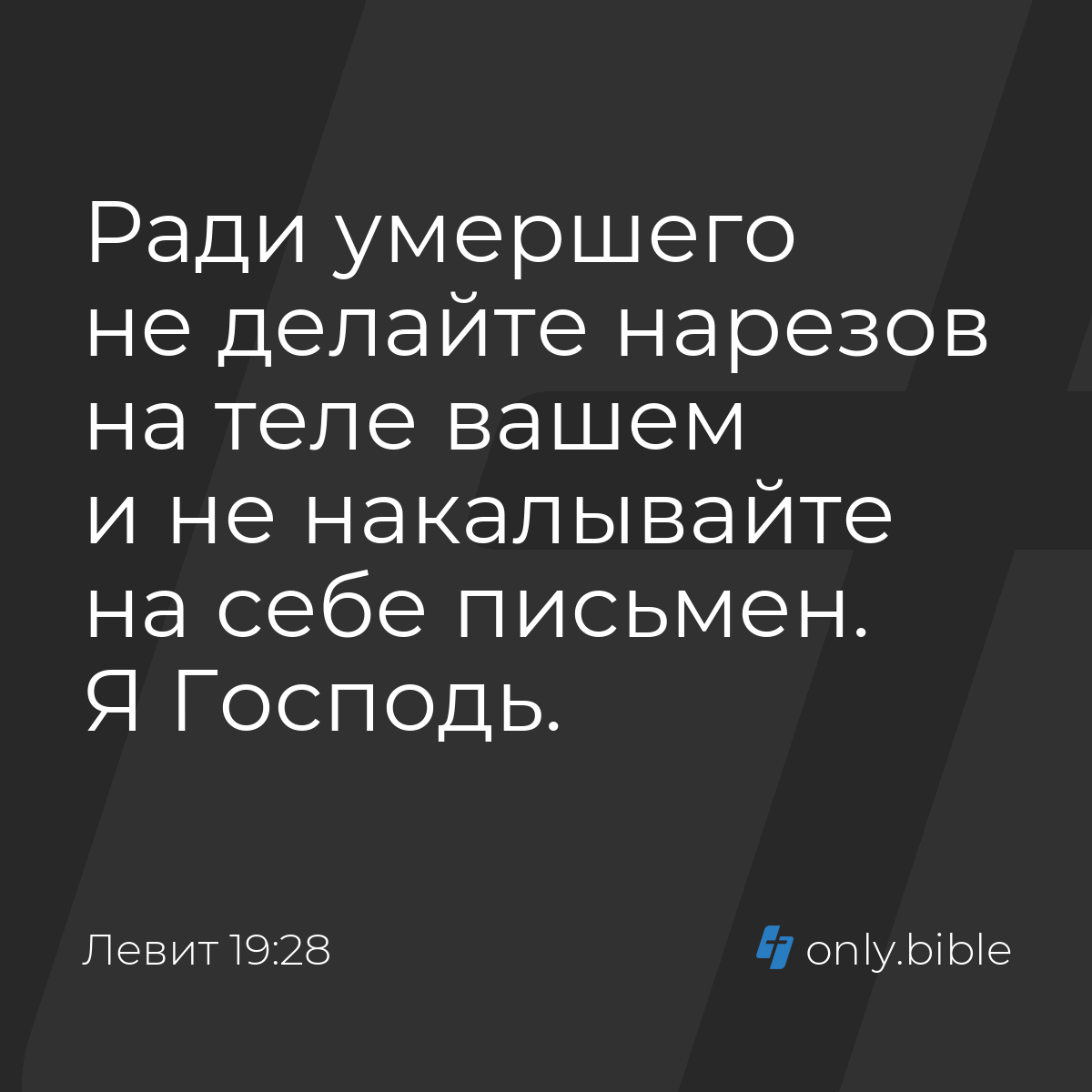 Левит 19:28 / Русский синодальный перевод (Юбилейное издание) | Библия  Онлайн