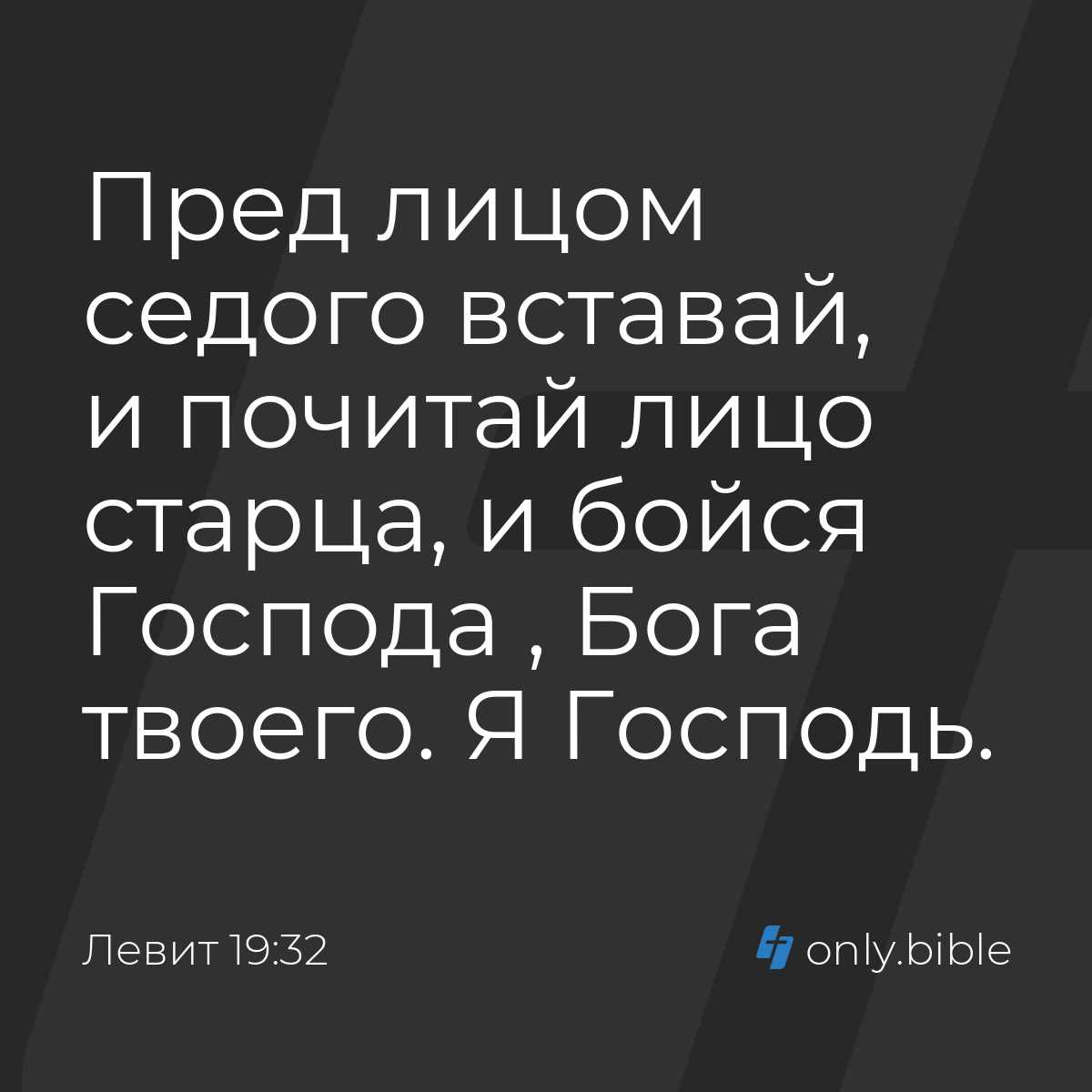 Левит 19:32 / Русский синодальный перевод (Юбилейное издание) | Библия  Онлайн