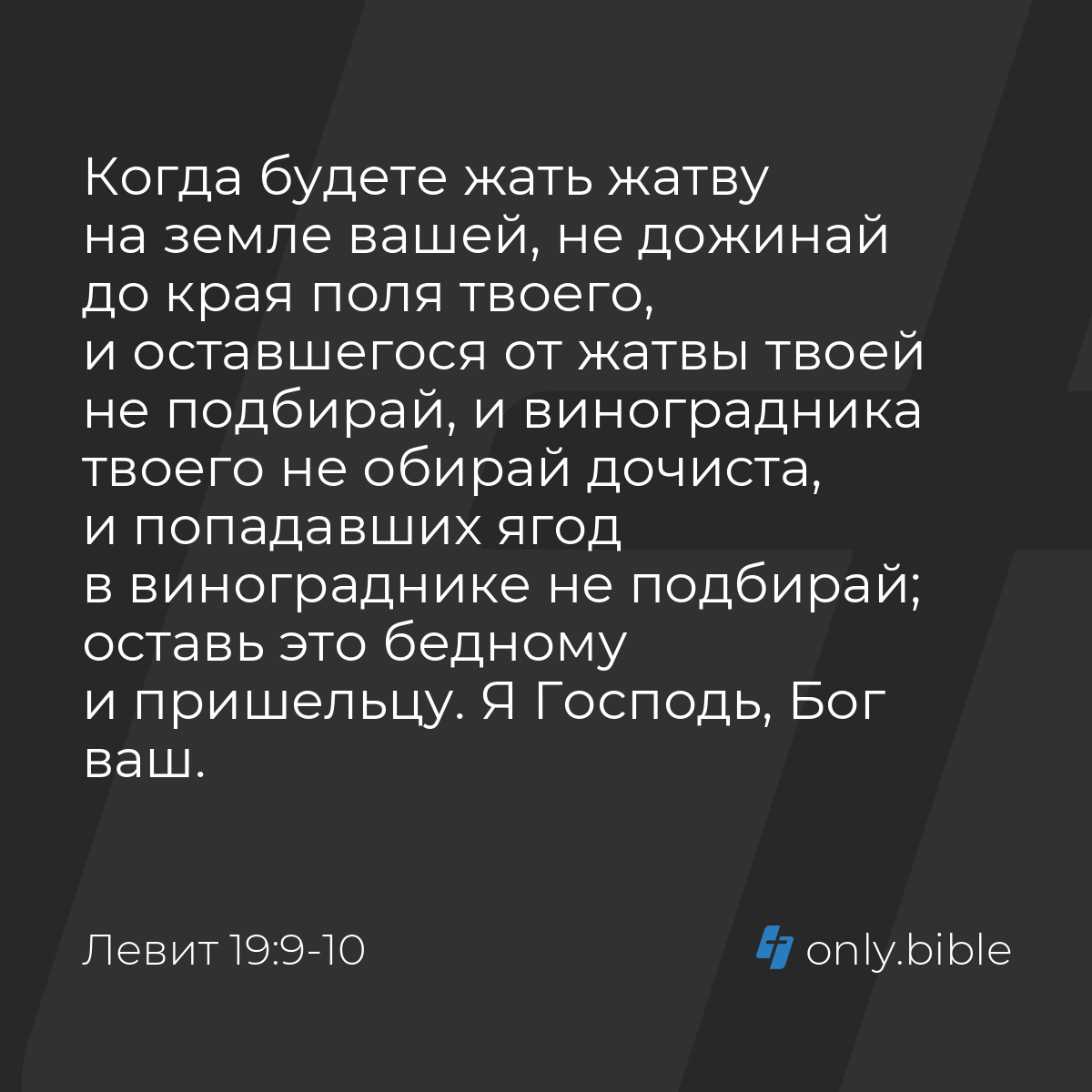 Левит 19:9-10 / Русский синодальный перевод (Юбилейное издание) | Библия  Онлайн