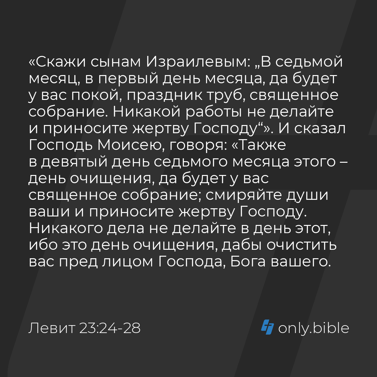 Левит 23:24-28 / Русский синодальный перевод (Юбилейное издание) | Библия  Онлайн