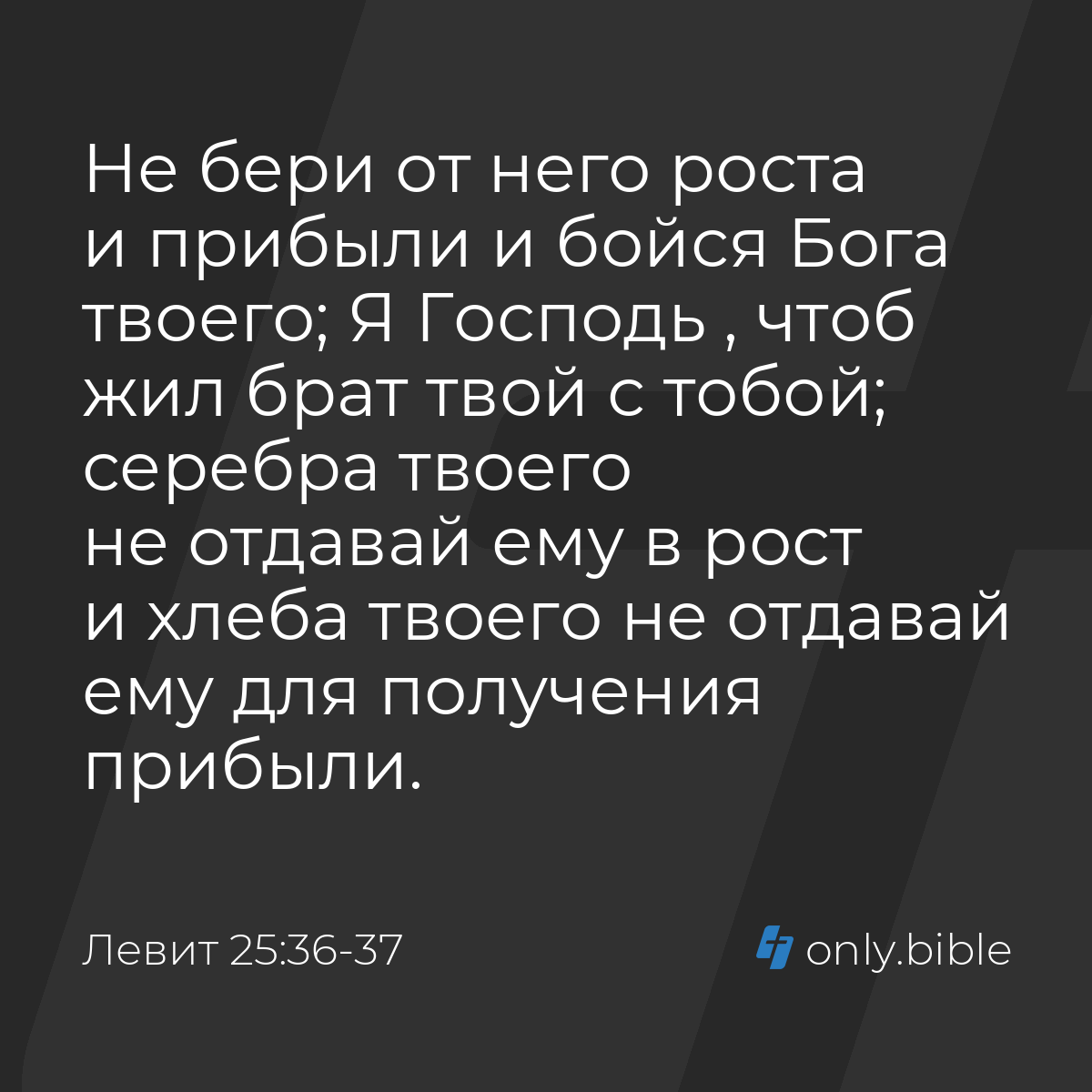 Левит 25:36-37 / Русский синодальный перевод (Юбилейное издание) | Библия  Онлайн