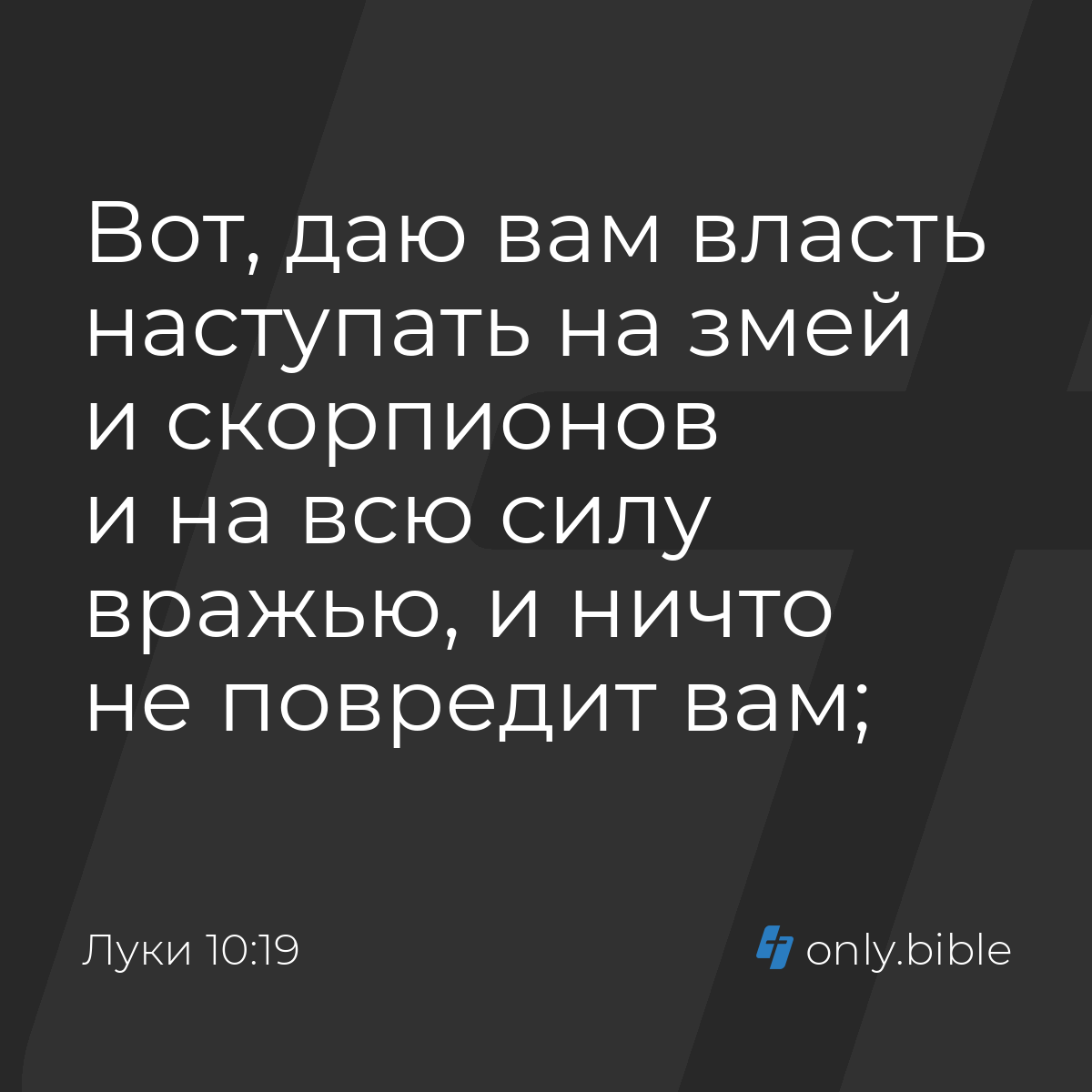 Луки 10:19 / Русский синодальный перевод (Юбилейное издание) | Библия Онлайн