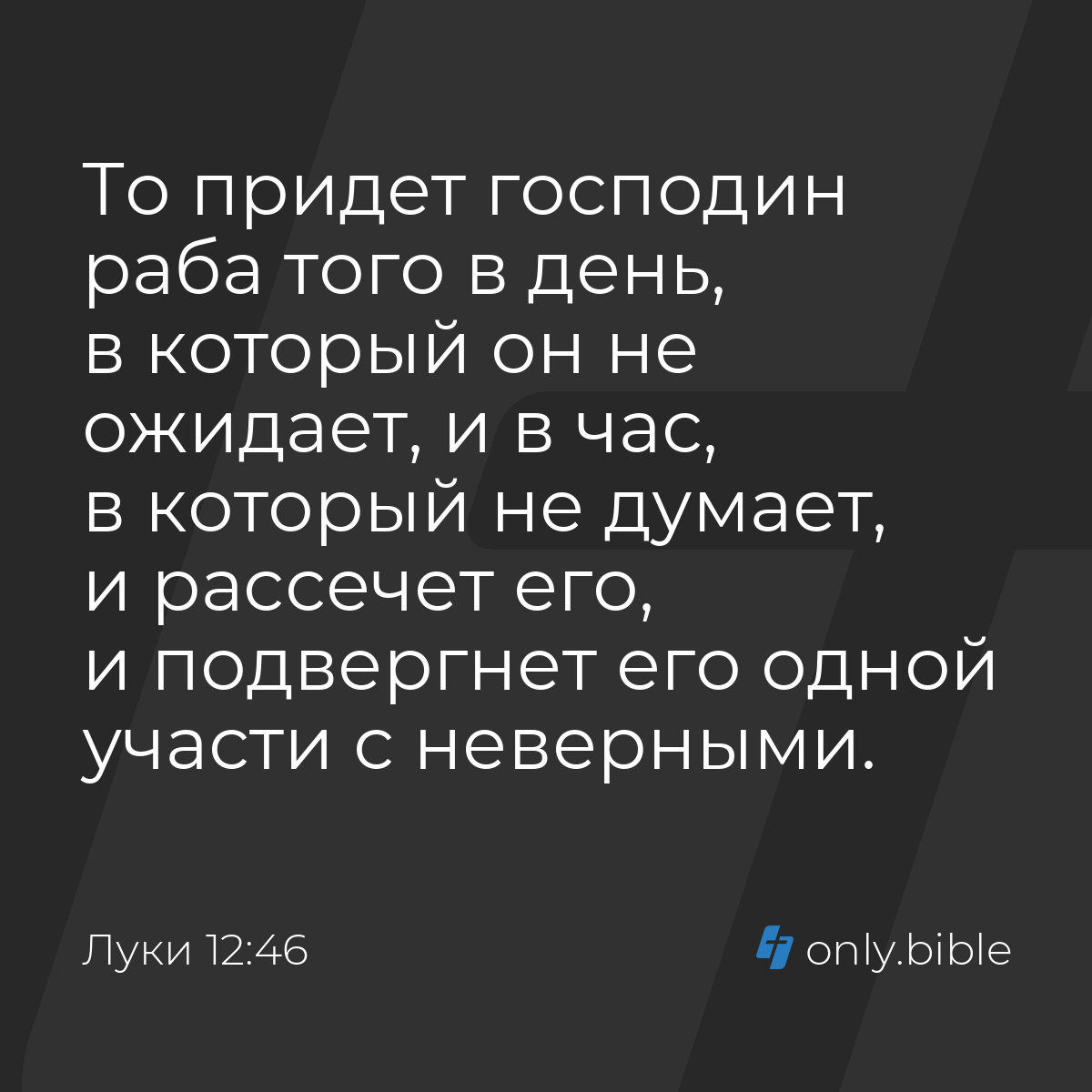 «Господа, вы звери»: Елена Соловей была музой Михалкова, стала прачкой и осталась в США