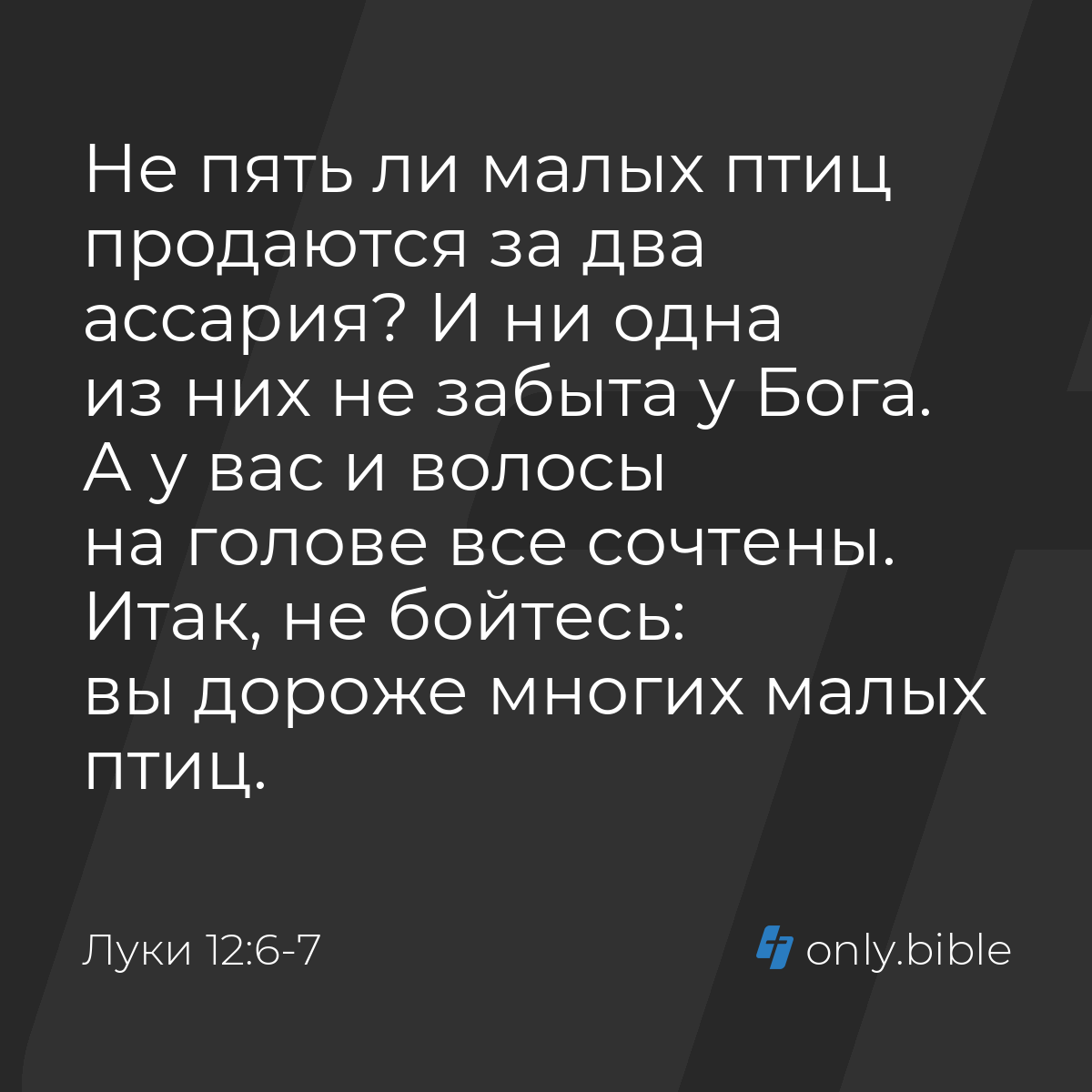 Луки 12:6-7 / Русский синодальный перевод (Юбилейное издание) | Библия  Онлайн