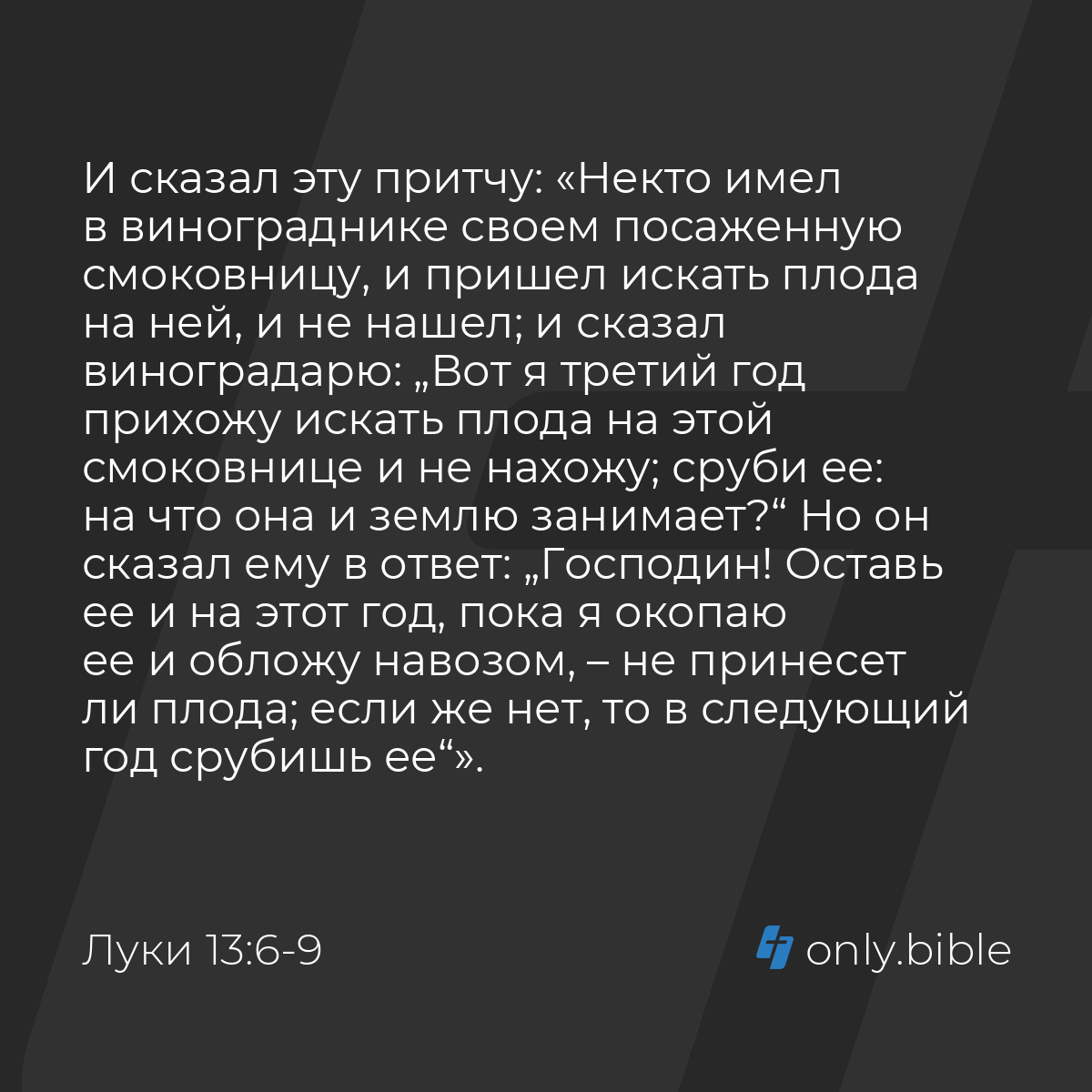 Луки 13:6-9 / Русский синодальный перевод (Юбилейное издание) | Библия  Онлайн