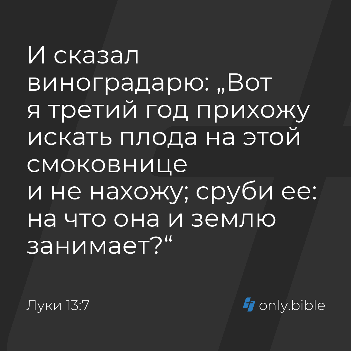 Луки 13:7 / Русский синодальный перевод (Юбилейное издание) | Библия Онлайн