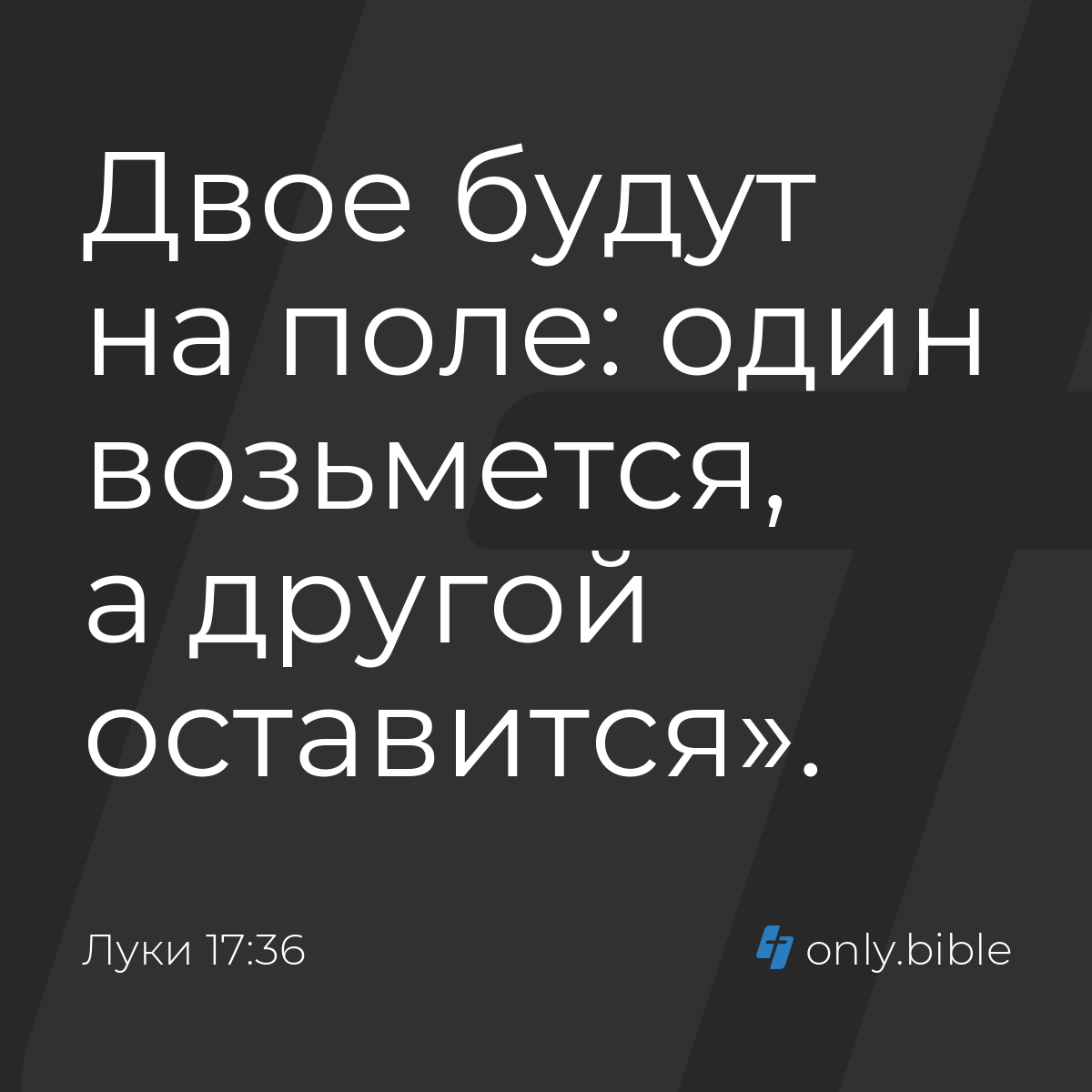 Луки 17:36 / Русский синодальный перевод (Юбилейное издание) | Библия Онлайн