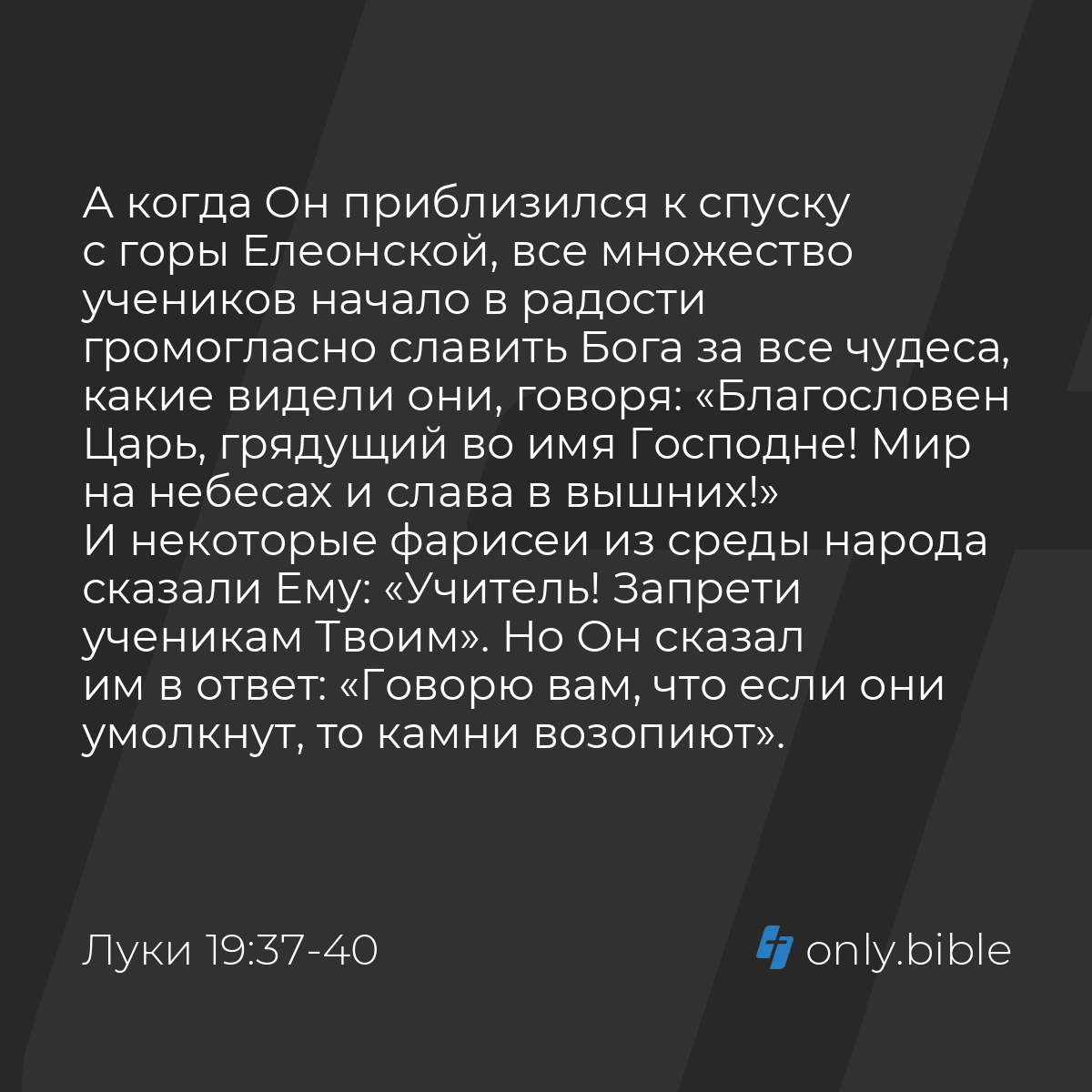 Луки 19:37-40 / Русский синодальный перевод (Юбилейное издание) | Библия  Онлайн