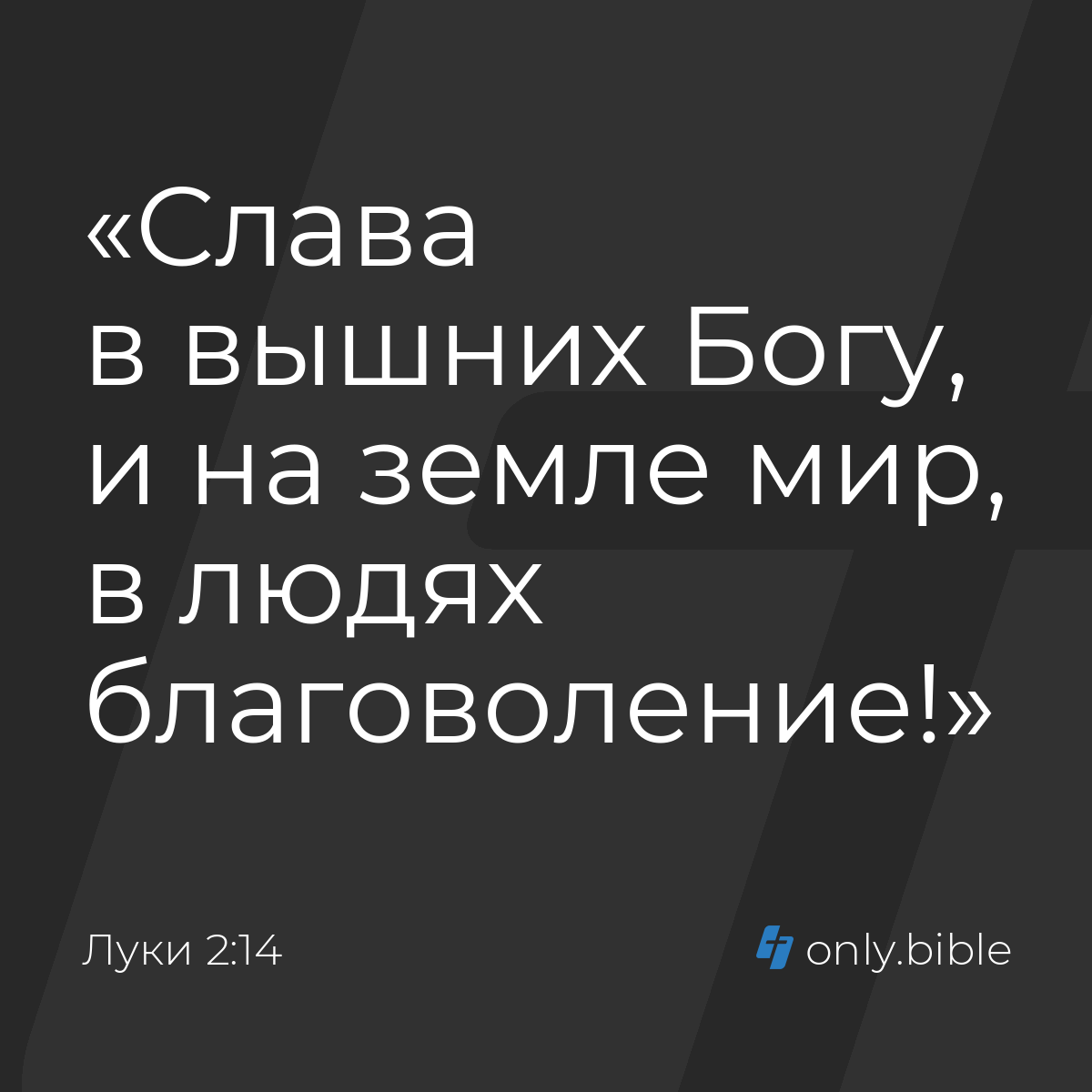 Луки 2:14 / Русский синодальный перевод (Юбилейное издание) | Библия Онлайн