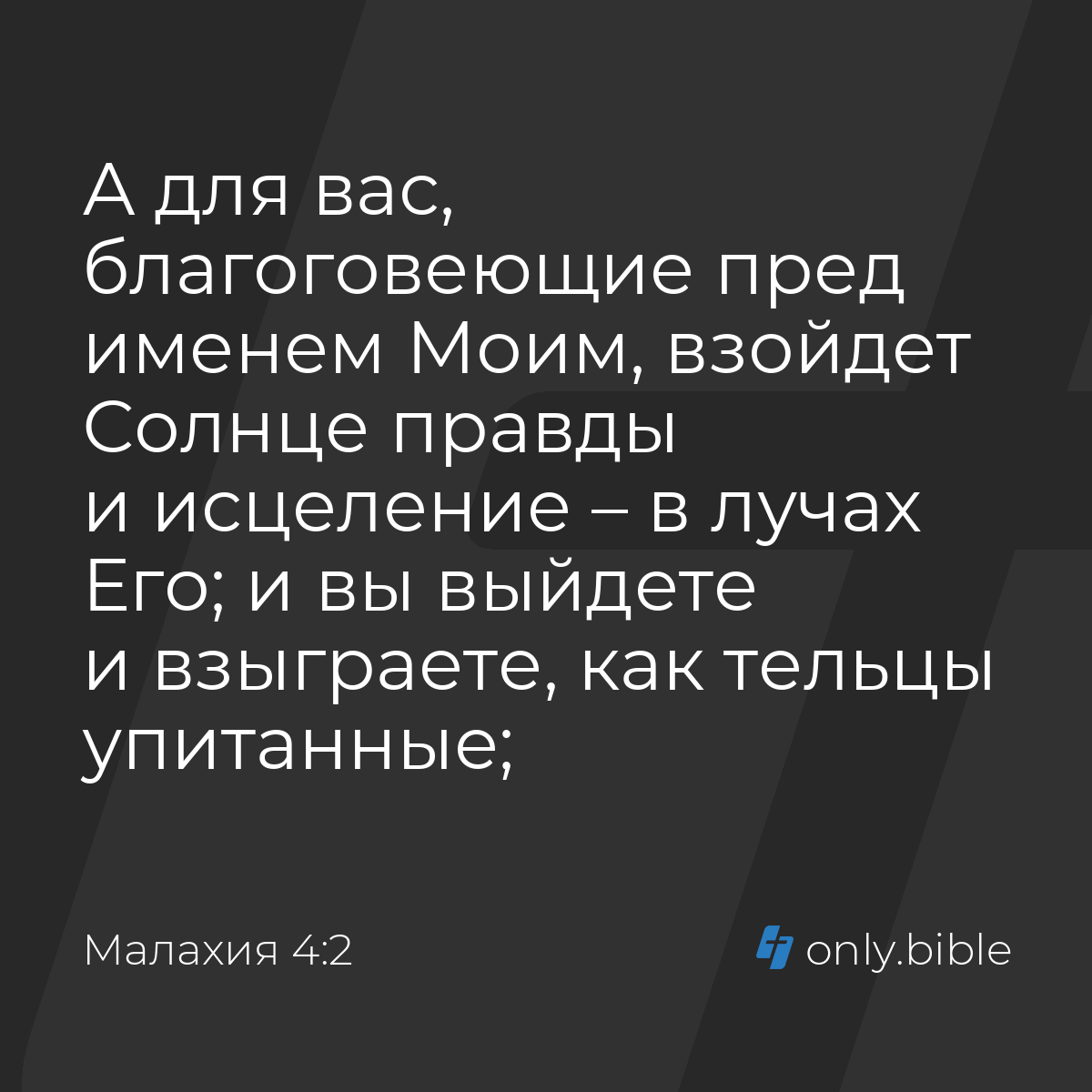 Үйге қоңырау шалған дәрігер туралы порно қараңыз