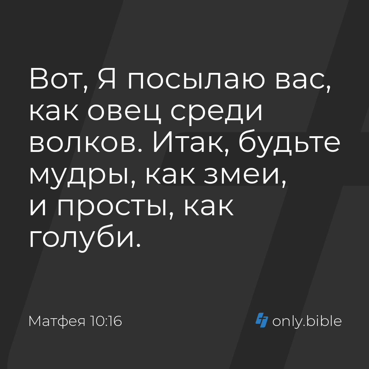 Матфея 10:16 / Русский синодальный перевод (Юбилейное издание) | Библия  Онлайн