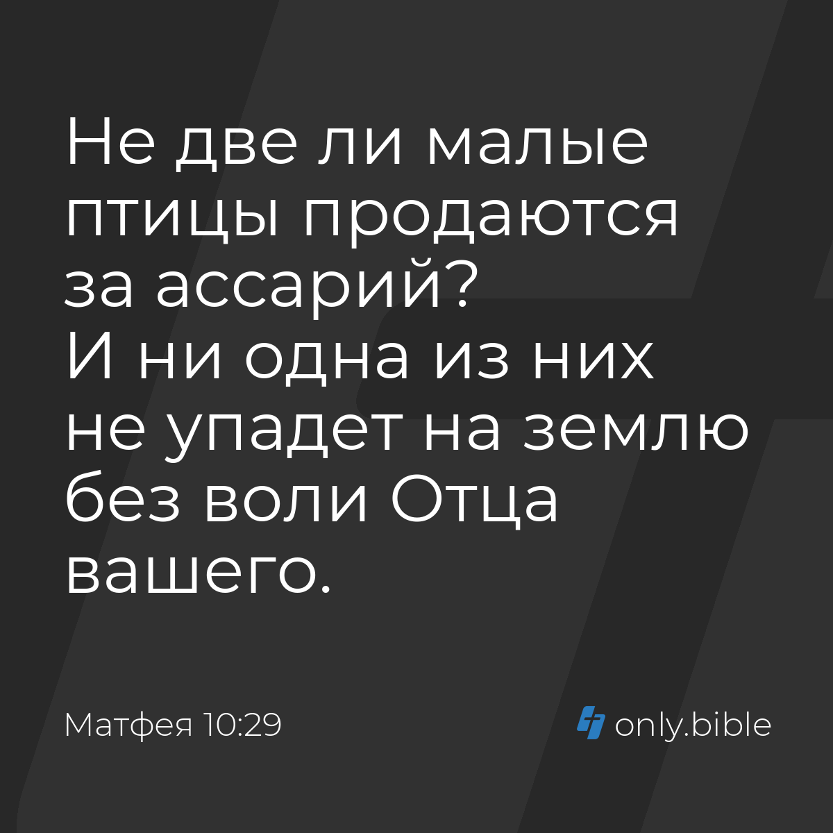 Матфея 10:29 / Русский синодальный перевод (Юбилейное издание) | Библия  Онлайн