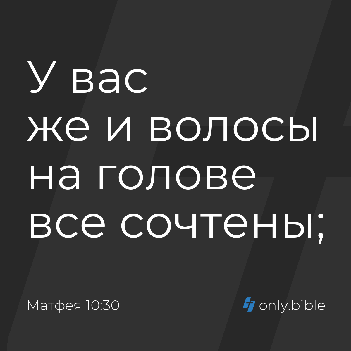 Матфея 10:30 / Русский синодальный перевод (Юбилейное издание) | Библия  Онлайн