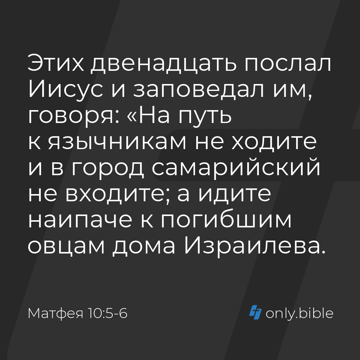 а идите наипаче к погибающим овцам дома израилева (100) фото