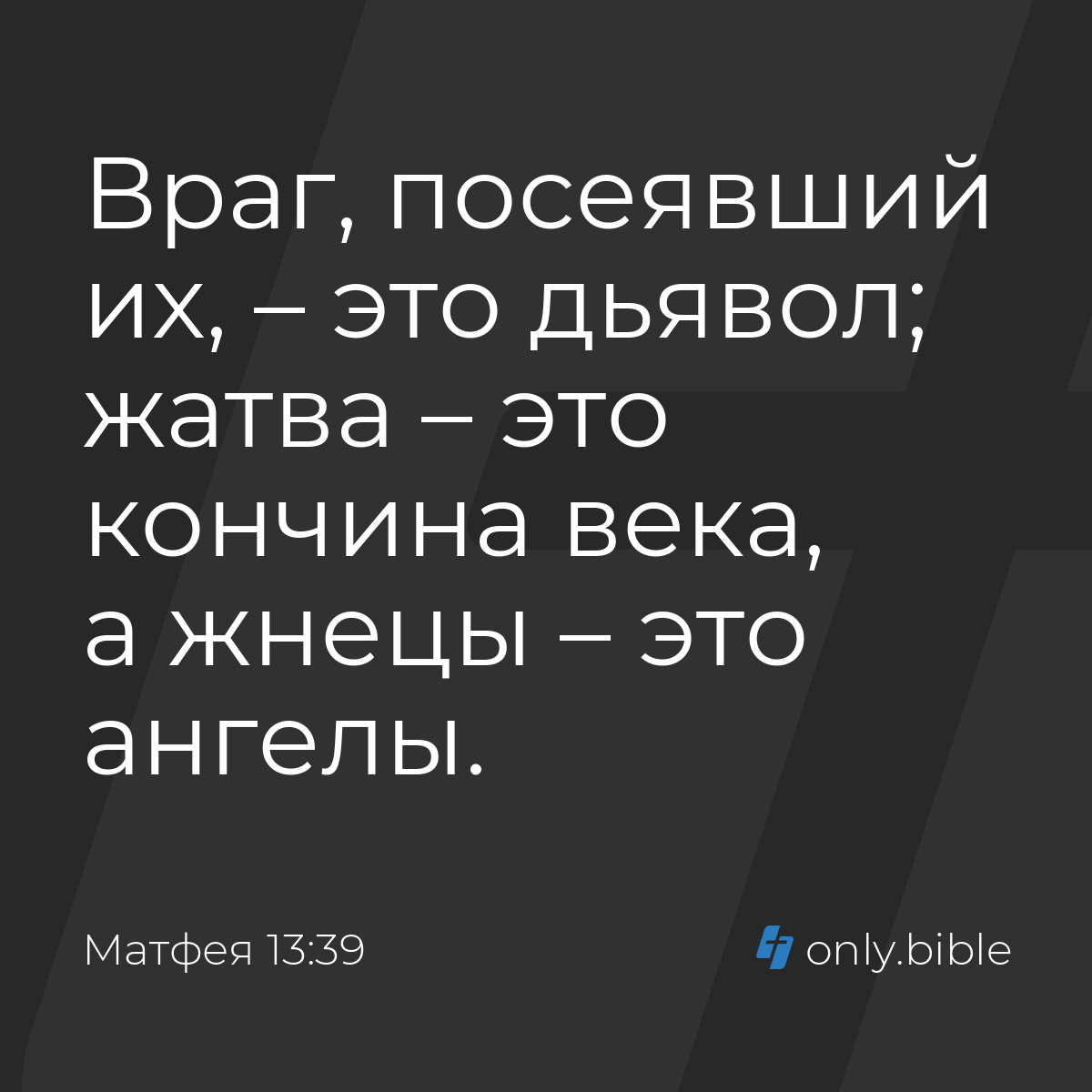 Матфея 13:39 / Русский синодальный перевод (Юбилейное издание) | Библия  Онлайн