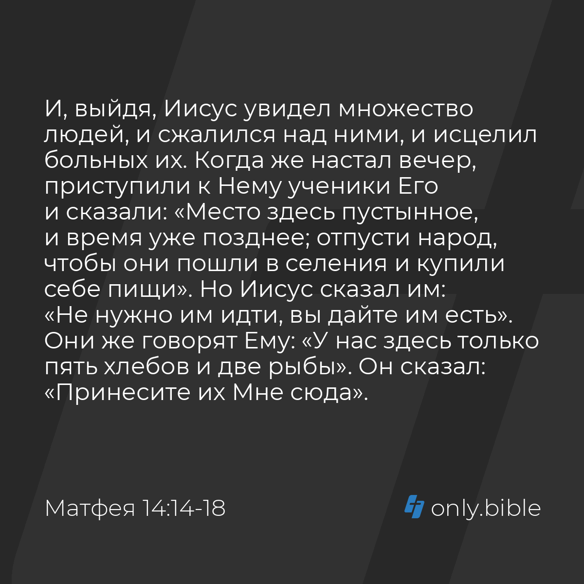 Матфея 14:14-21 / Русский синодальный перевод (Юбилейное издание) | Библия  Онлайн