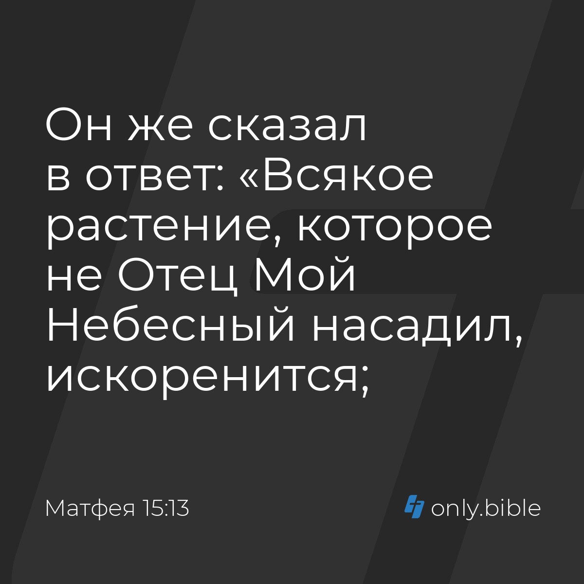 Матфея 15:13 / Русский синодальный перевод (Юбилейное издание) | Библия  Онлайн