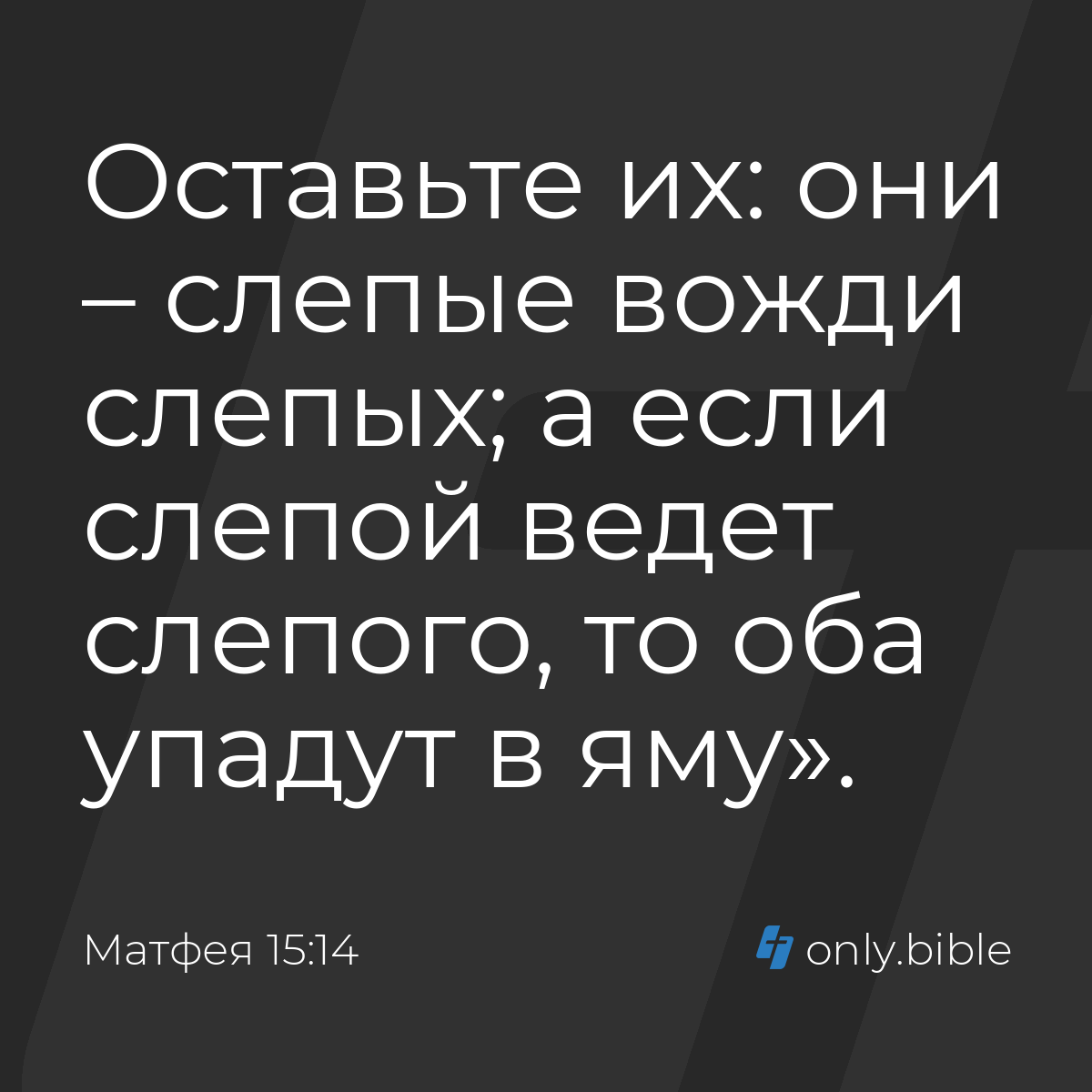 Матфея 15:14 / Русский синодальный перевод (Юбилейное издание) | Библия  Онлайн