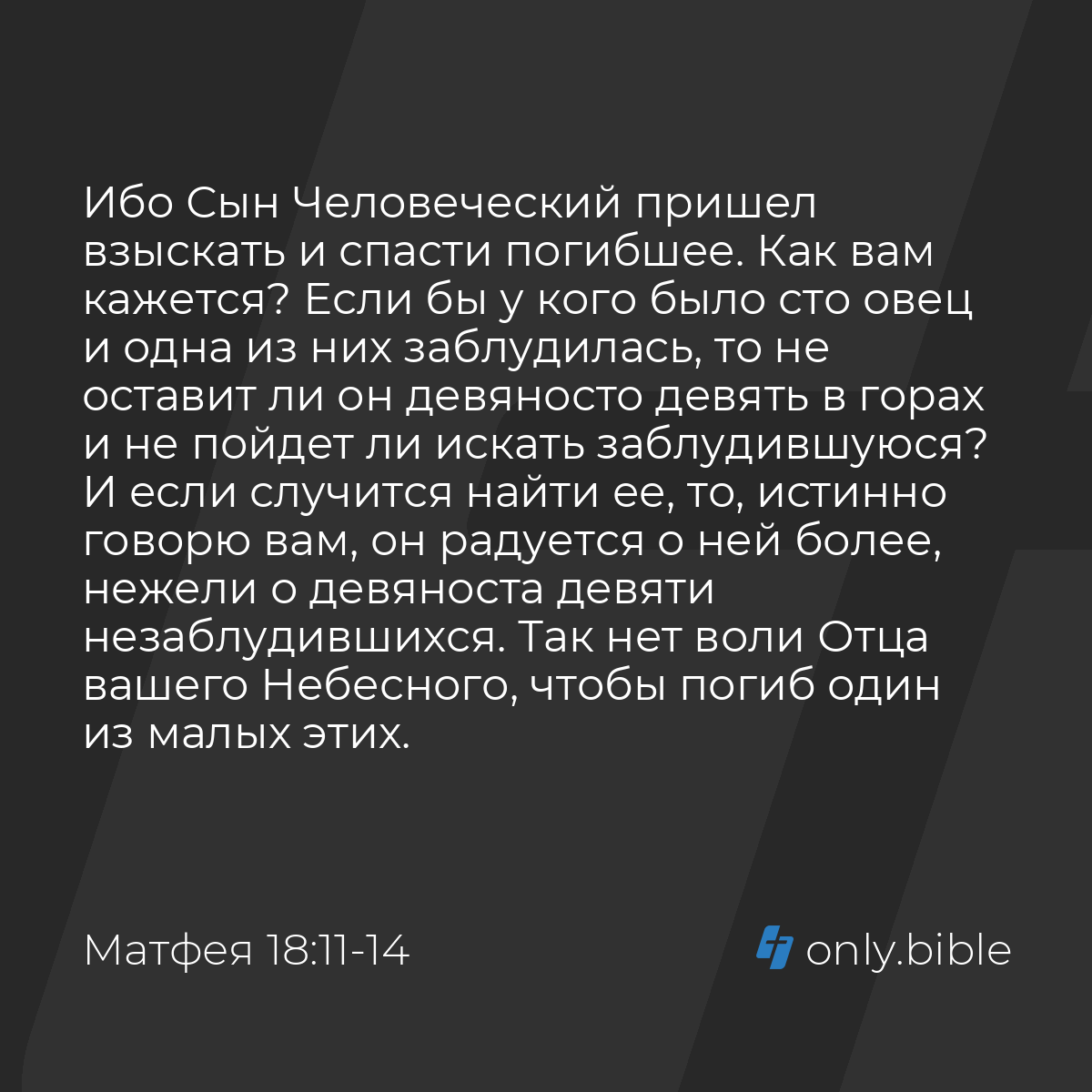 Матфея 18:11-14 / Русский синодальный перевод (Юбилейное издание) | Библия  Онлайн