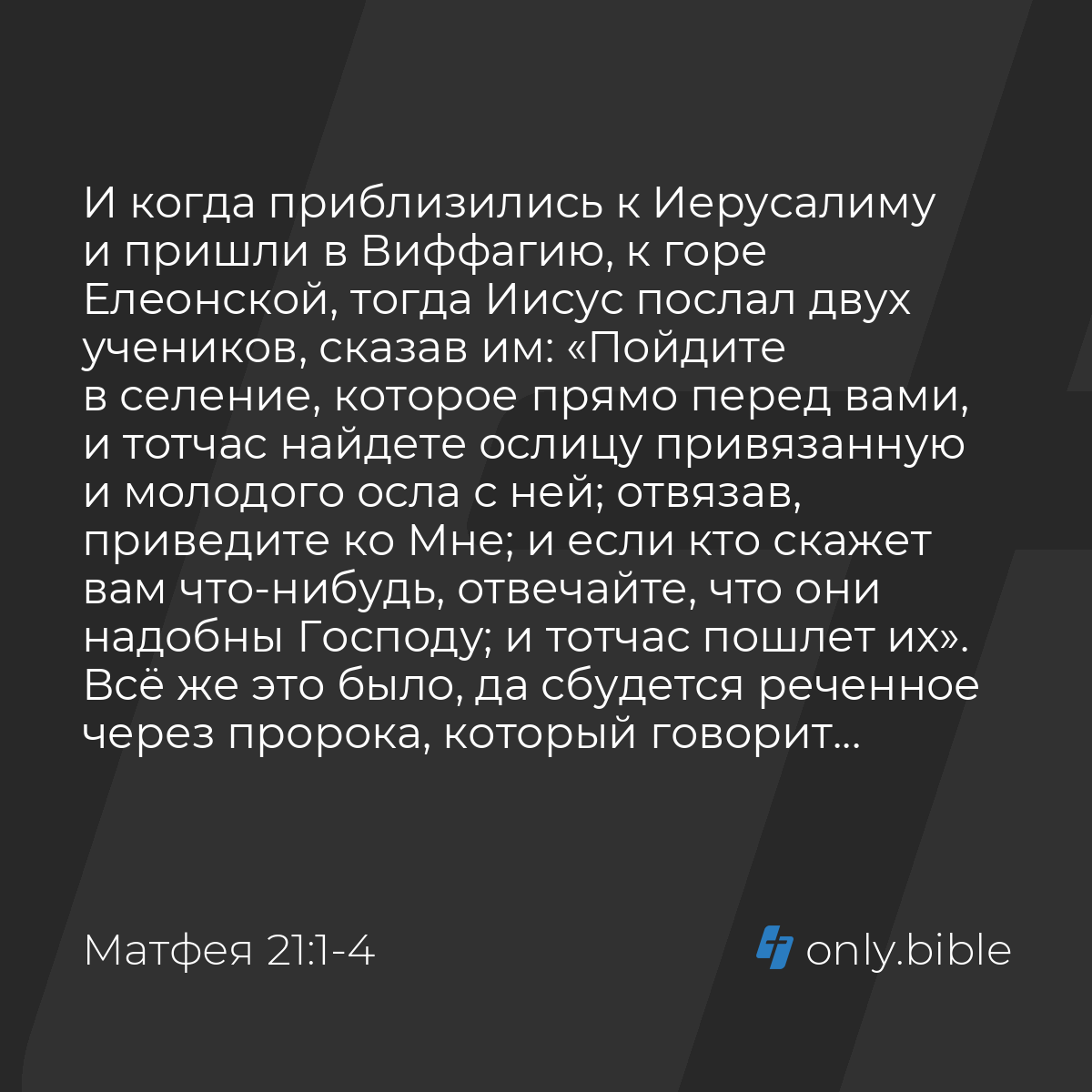 Матфея 21:1-11 / Русский синодальный перевод (Юбилейное издание) | Библия  Онлайн