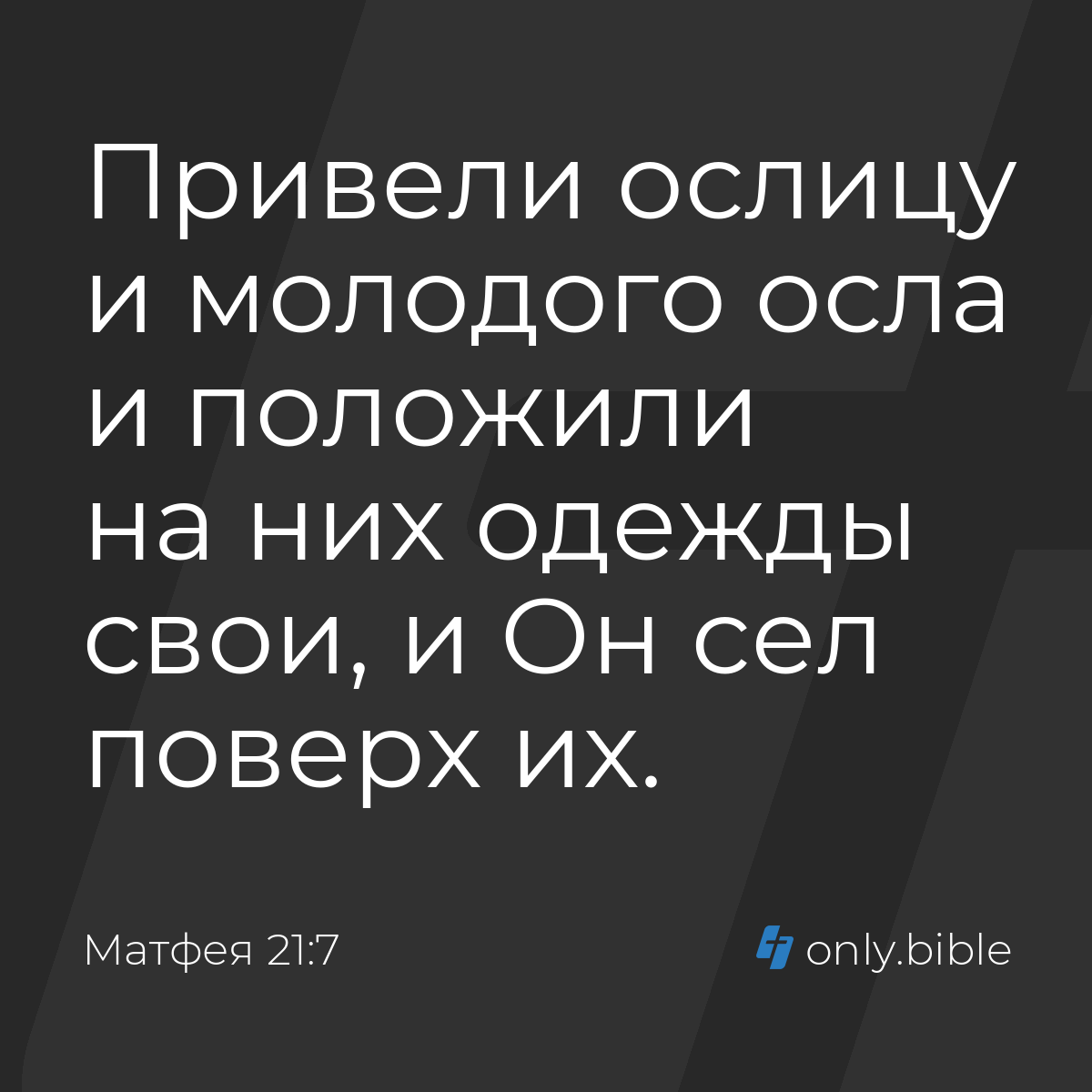 Матфея 21:7 / Русский синодальный перевод (Юбилейное издание) | Библия  Онлайн