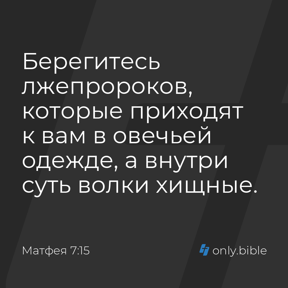 Матфея 7:15 / Русский синодальный перевод (Юбилейное издание) | Библия  Онлайн