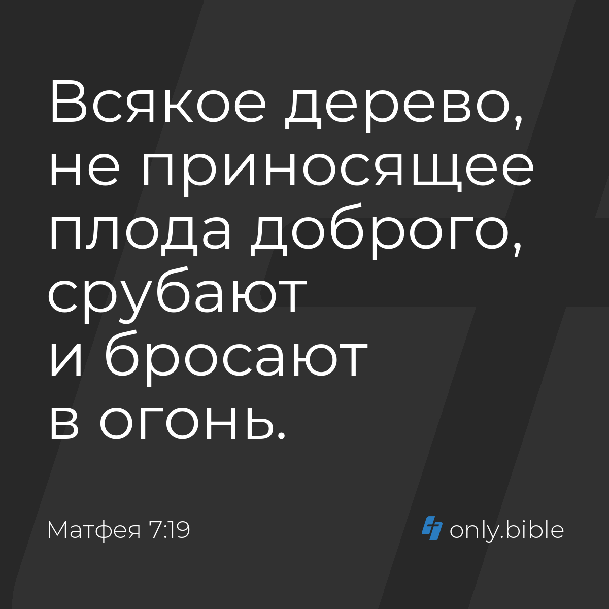 Матфея 7:19 / Русский синодальный перевод (Юбилейное издание) | Библия  Онлайн