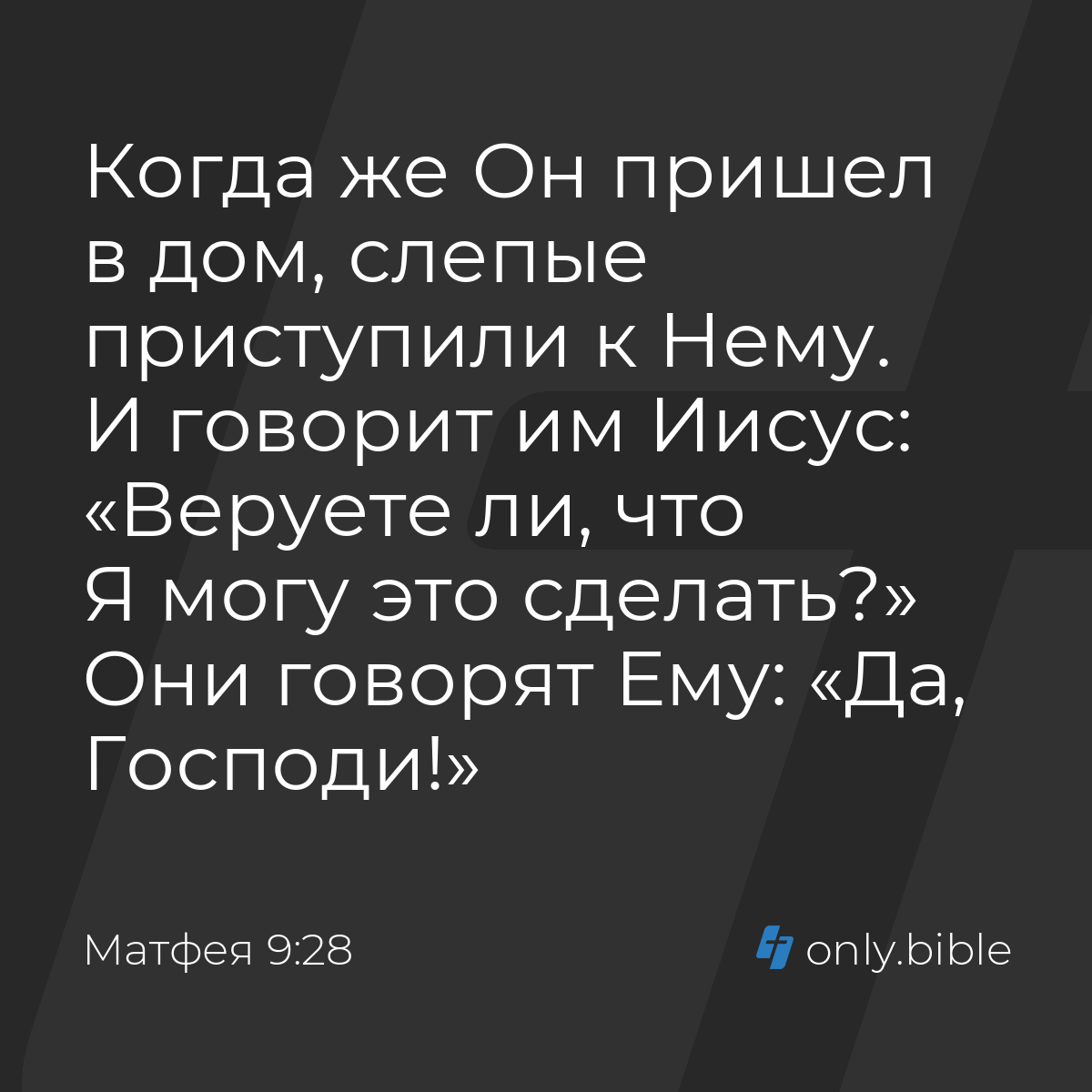 Матфея 9:28 / Русский синодальный перевод (Юбилейное издание) | Библия  Онлайн