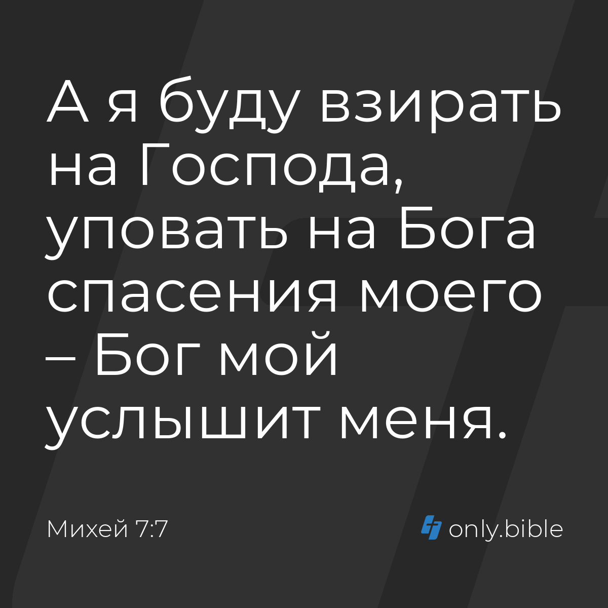 Михей 7:7 / Русский синодальный перевод (Юбилейное издание) | Библия Онлайн