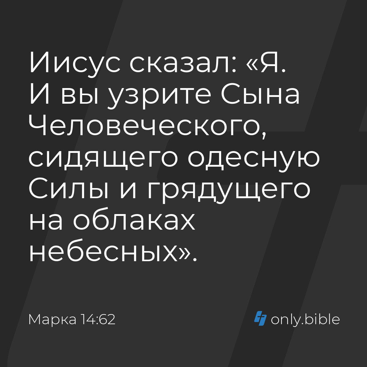 Марка 14:62 / Русский синодальный перевод (Юбилейное издание) | Библия  Онлайн