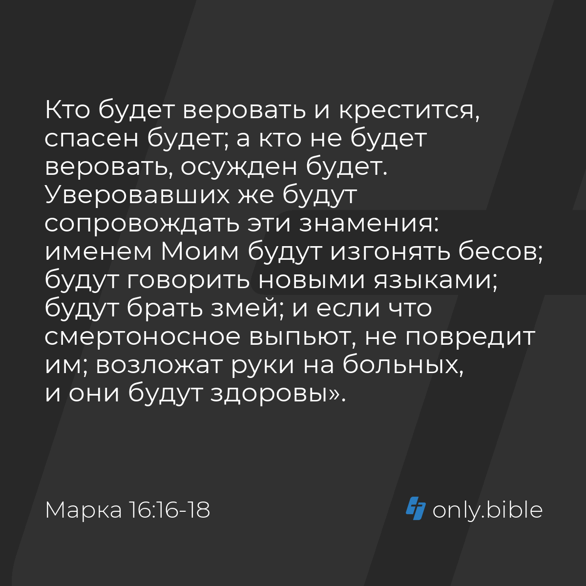 Марка 16:16-18 / Русский синодальный перевод (Юбилейное издание) | Библия  Онлайн