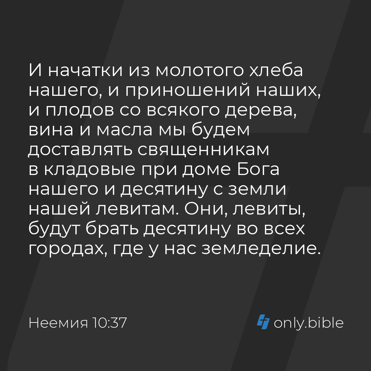 Неемия 10:37 / Русский синодальный перевод (Юбилейное издание) | Библия  Онлайн