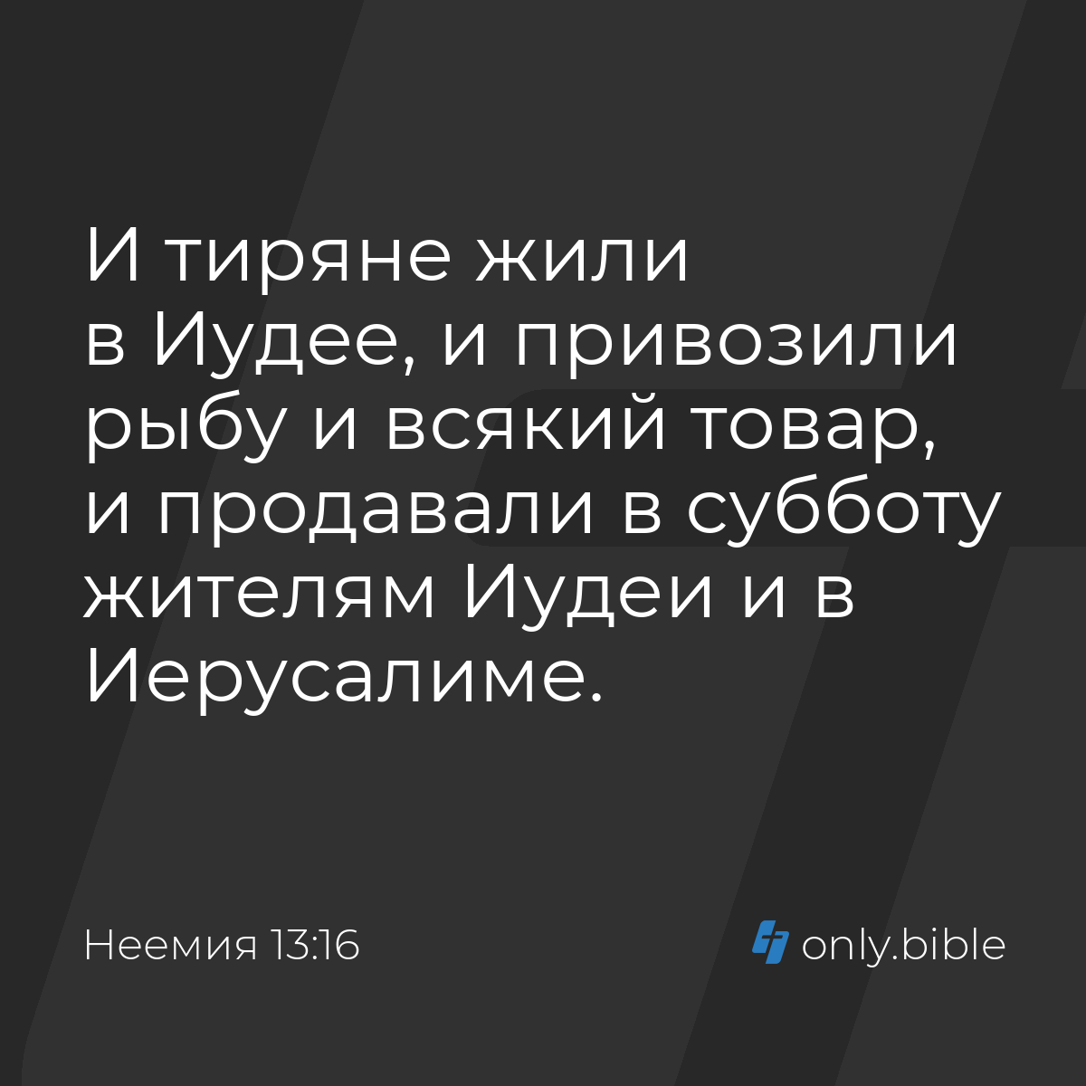 Неемия 13:16 / Русский синодальный перевод (Юбилейное издание) | Библия  Онлайн