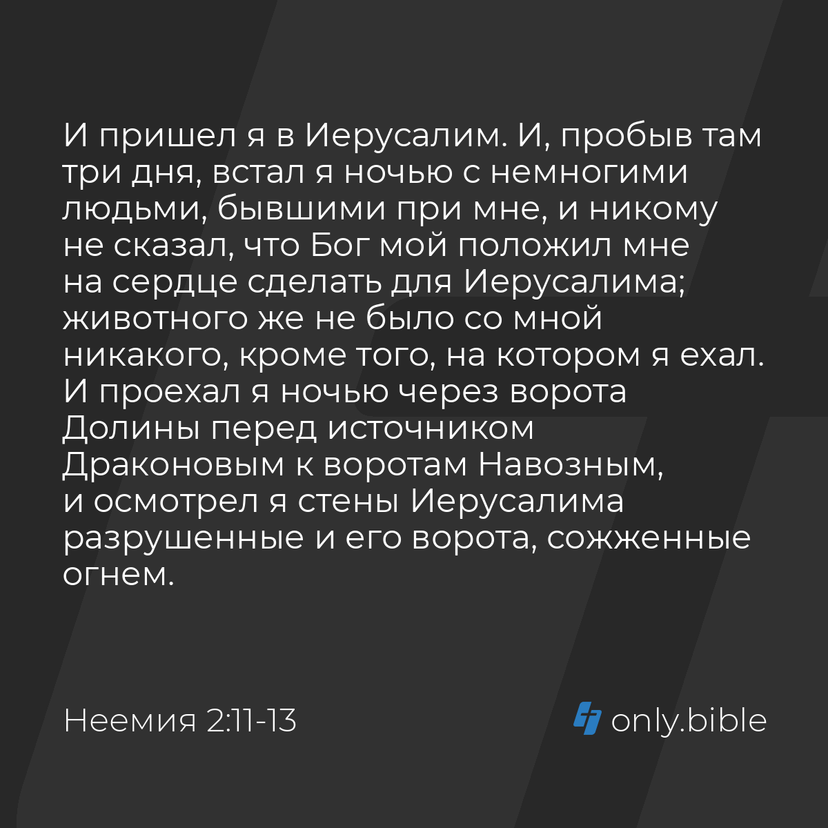 Неемия 2:11-18 / Русский синодальный перевод (Юбилейное издание) | Библия  Онлайн