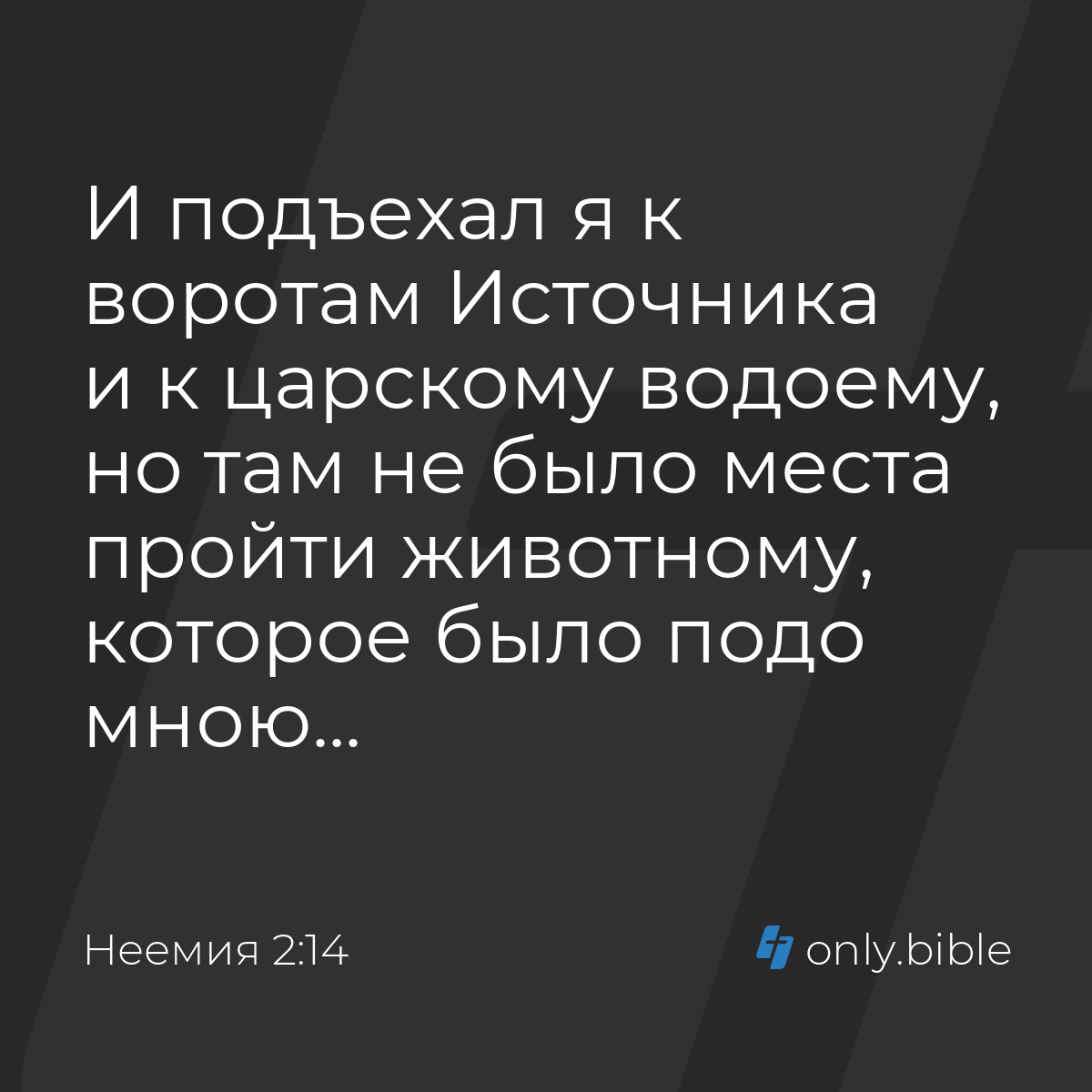 Неемия 2:14 / Русский синодальный перевод (Юбилейное издание) | Библия  Онлайн