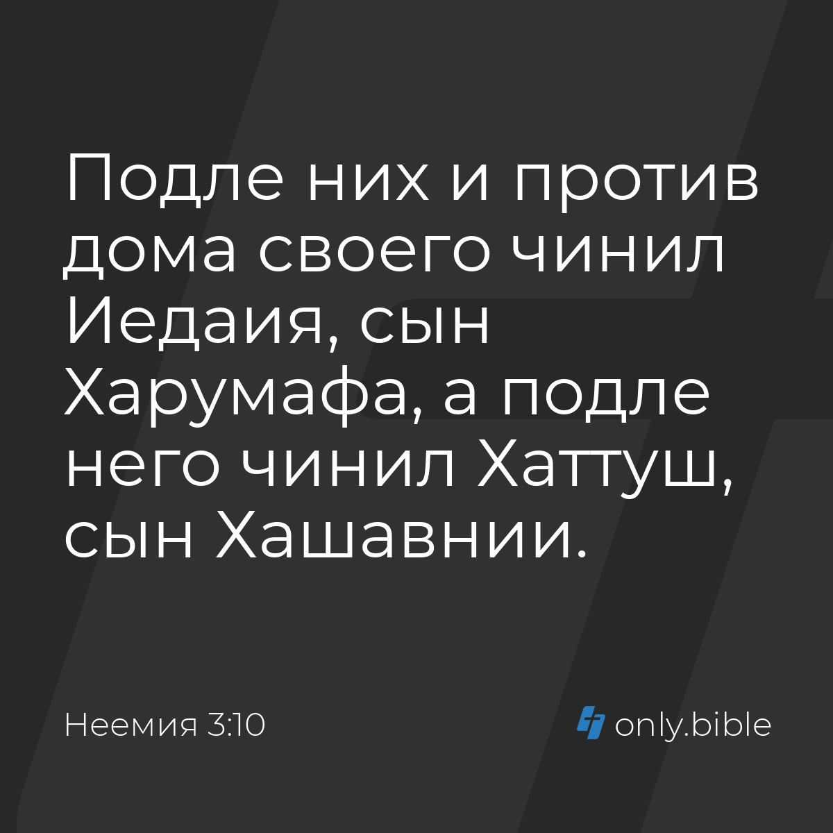 Неемия 3:10 / Русский синодальный перевод (Юбилейное издание) | Библия  Онлайн