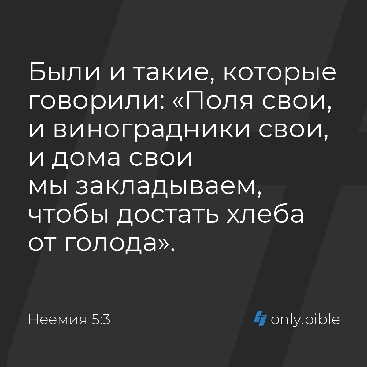 Неемия 5:3 / Русский синодальный перевод (Юбилейное издание) | Библия Онлайн