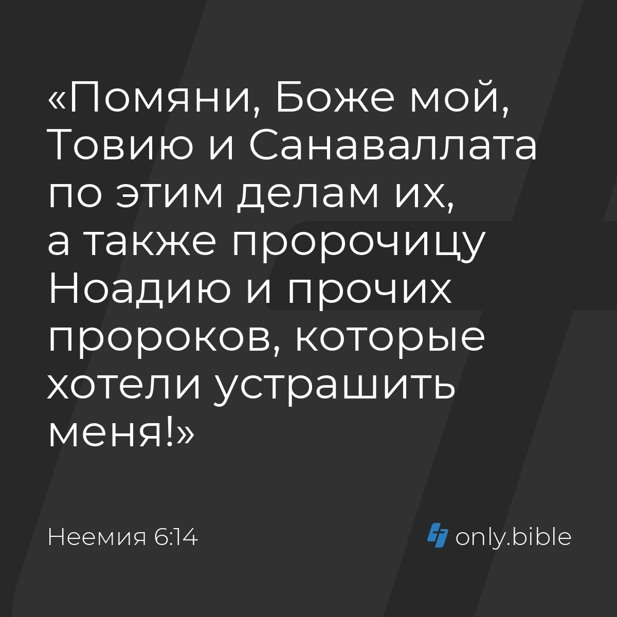 Неемия 6:14 / Русский синодальный перевод (Юбилейное издание) | Библия  Онлайн