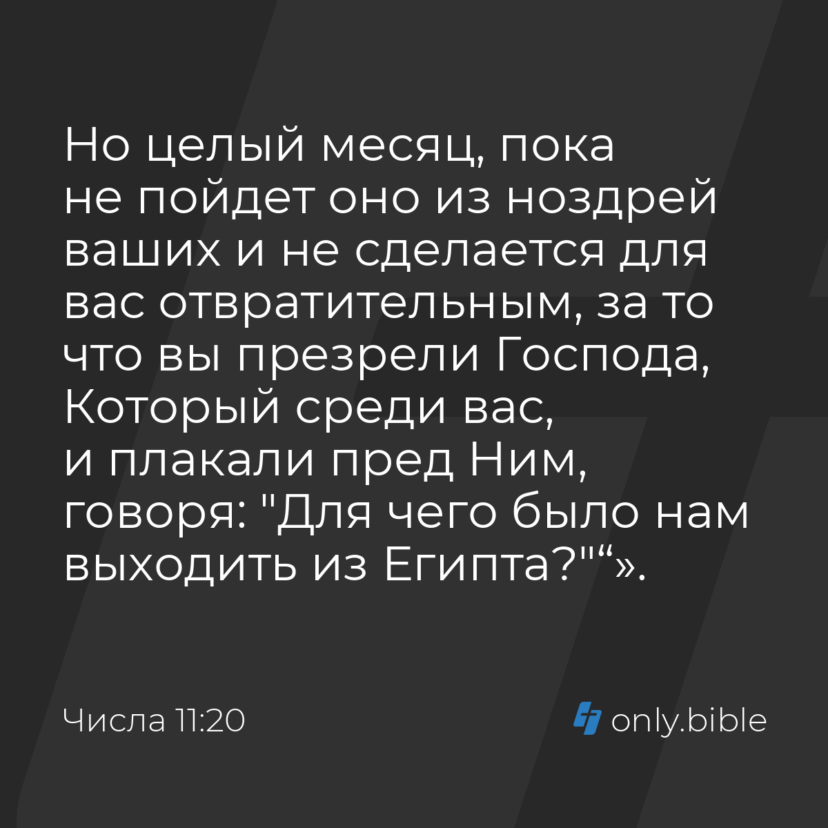 Числа 11:20 / Русский синодальный перевод (Юбилейное издание) | Библия  Онлайн