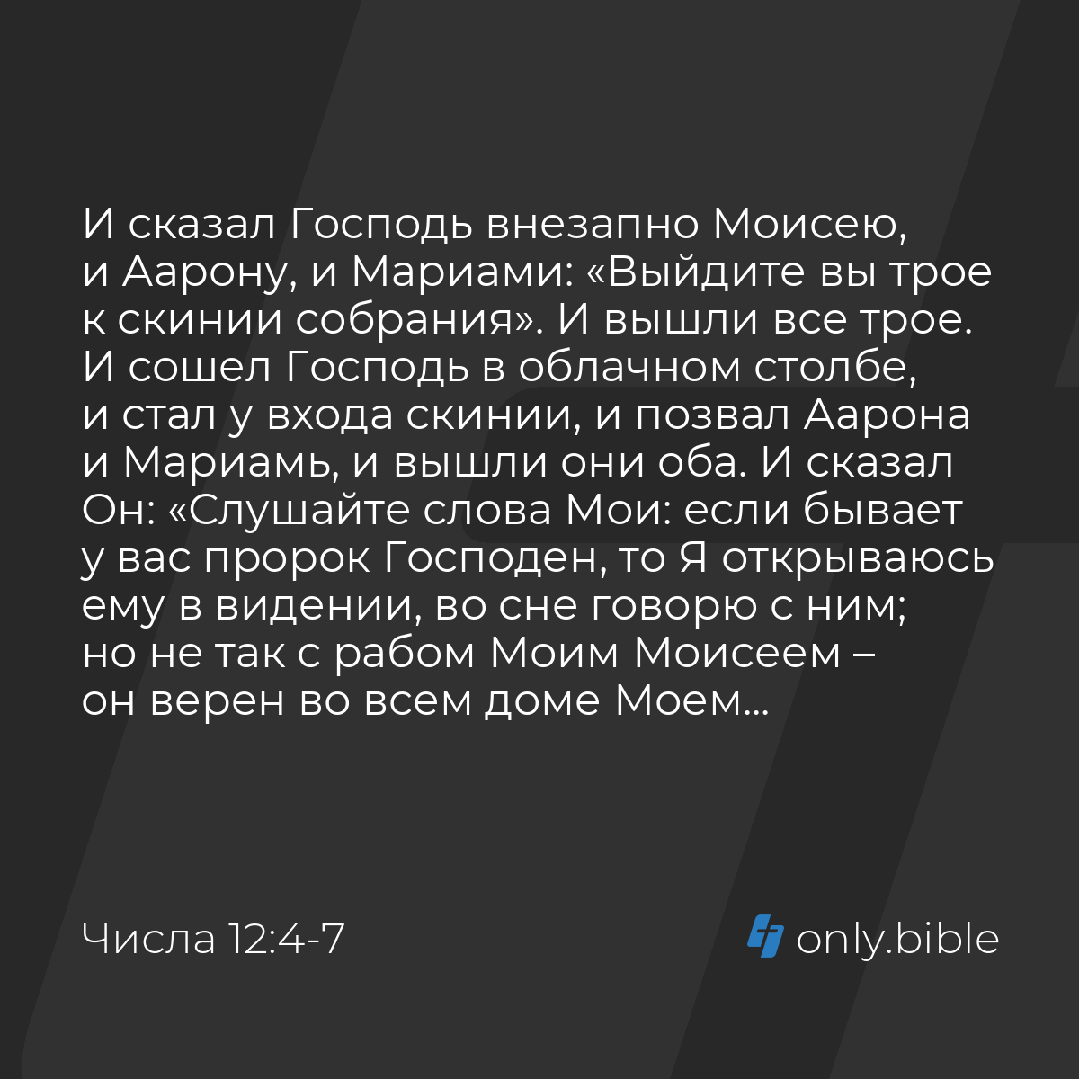 Числа 12:4-10 / Русский синодальный перевод (Юбилейное издание) | Библия  Онлайн