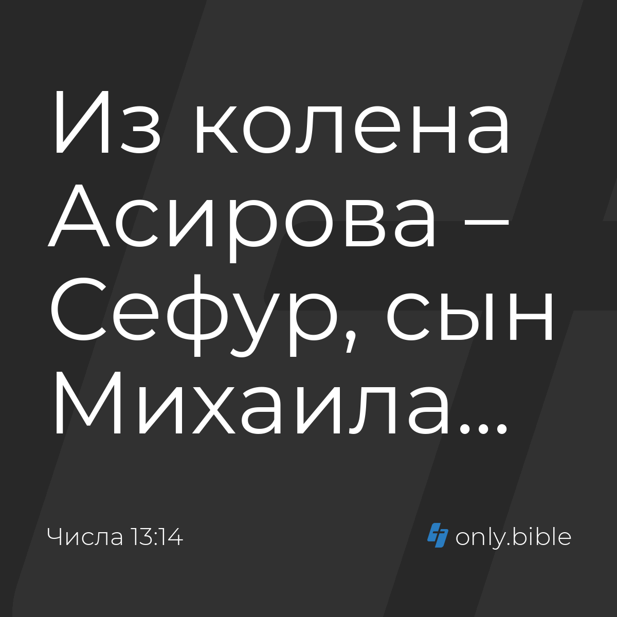 Числа 13:14 / Русский синодальный перевод (Юбилейное издание) | Библия  Онлайн