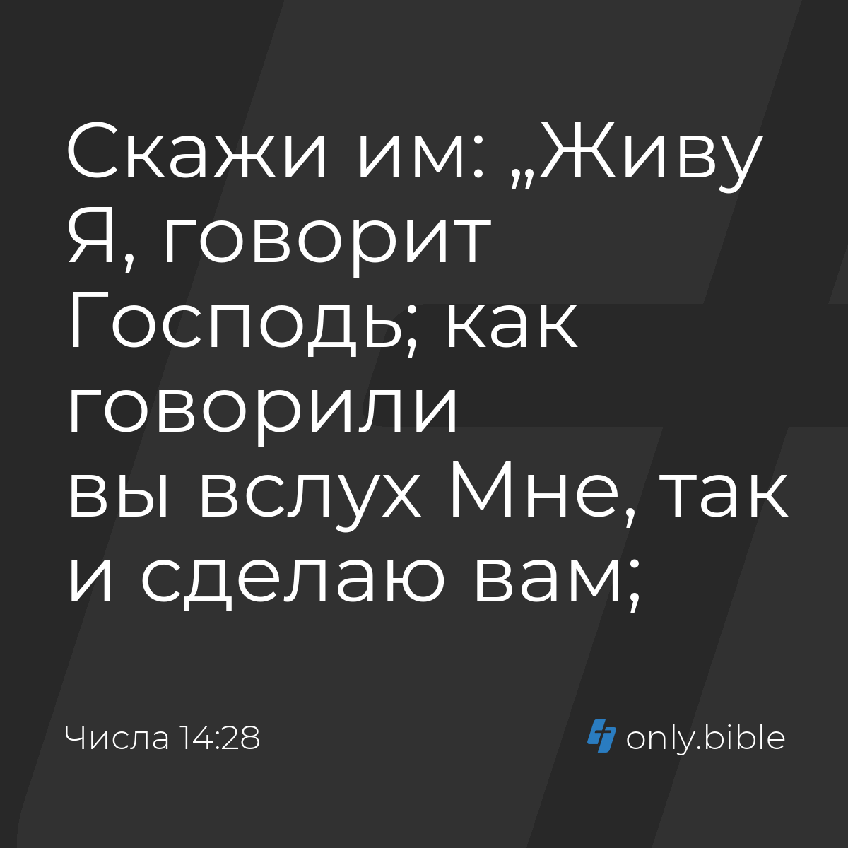 Числа 14:28 / Русский синодальный перевод (Юбилейное издание) | Библия  Онлайн