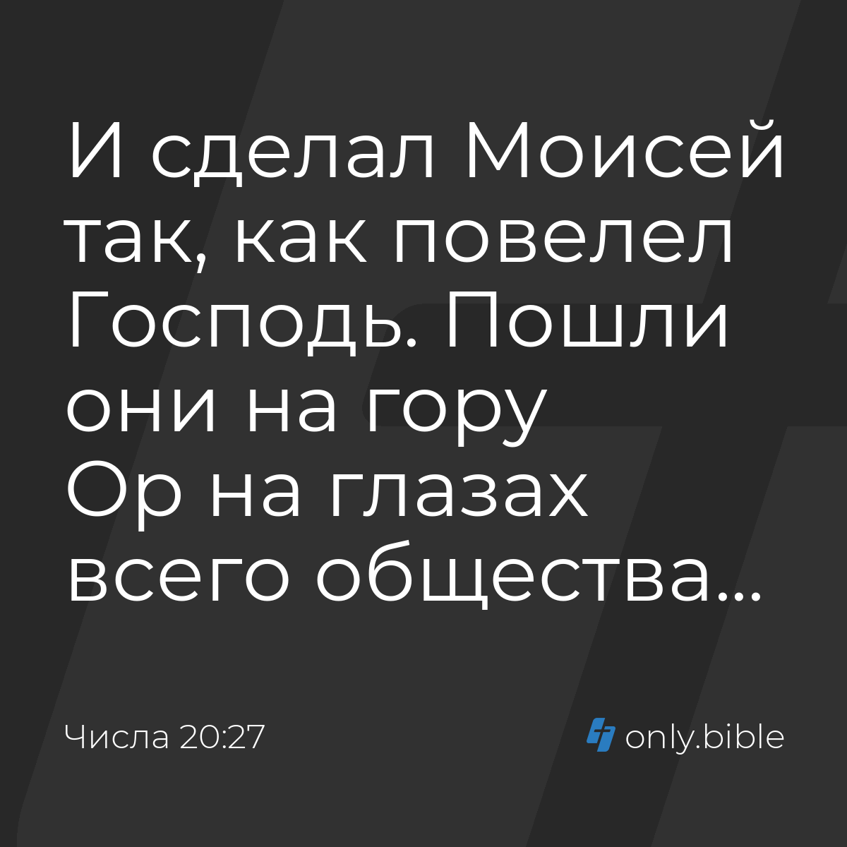 Числа 20:27 / Русский синодальный перевод (Юбилейное издание) | Библия  Онлайн