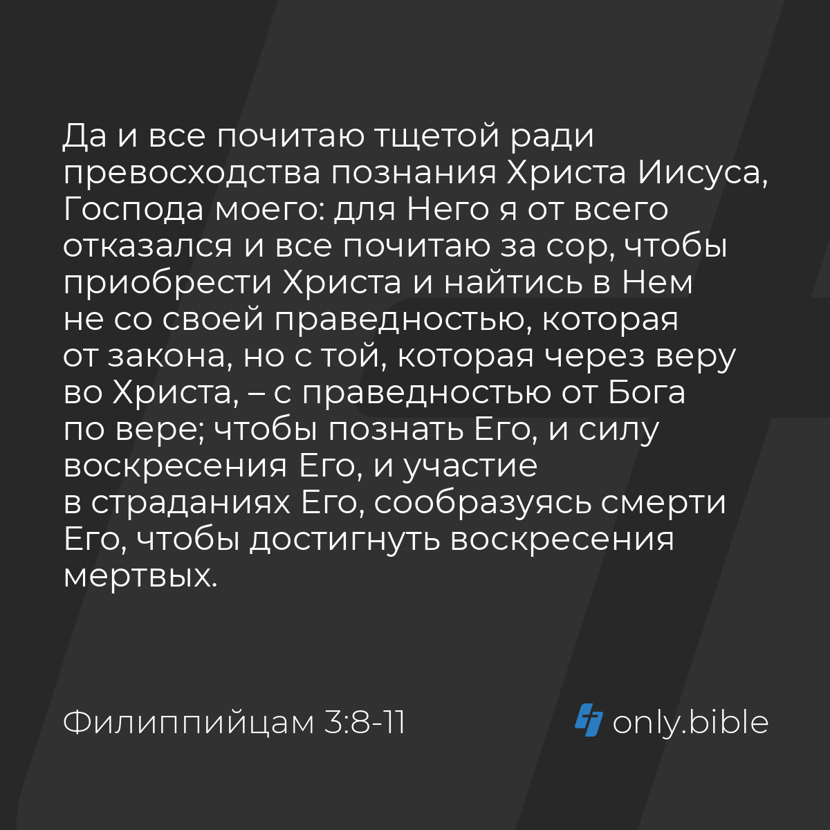 Филиппийцам 3:8-12 / Русский синодальный перевод (Юбилейное издание) |  Библия Онлайн